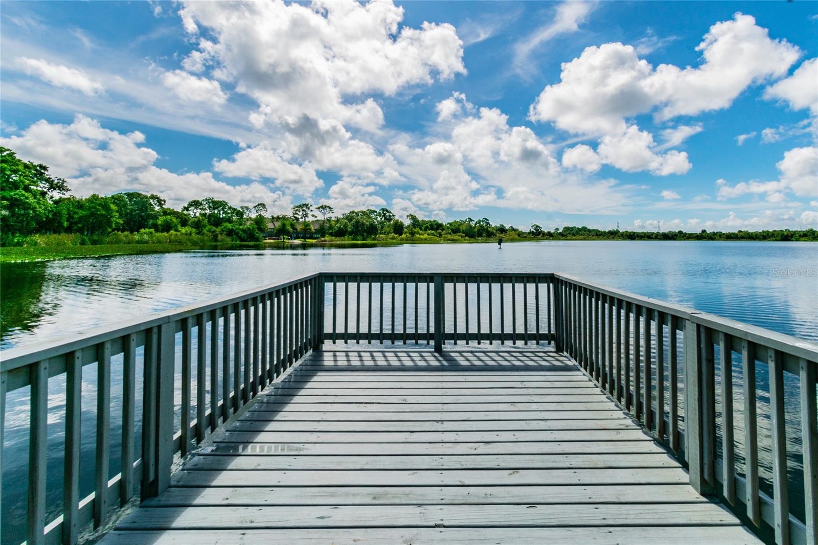 2803 NORTHCOTE DR, PALM HARBOR, FL, 34684