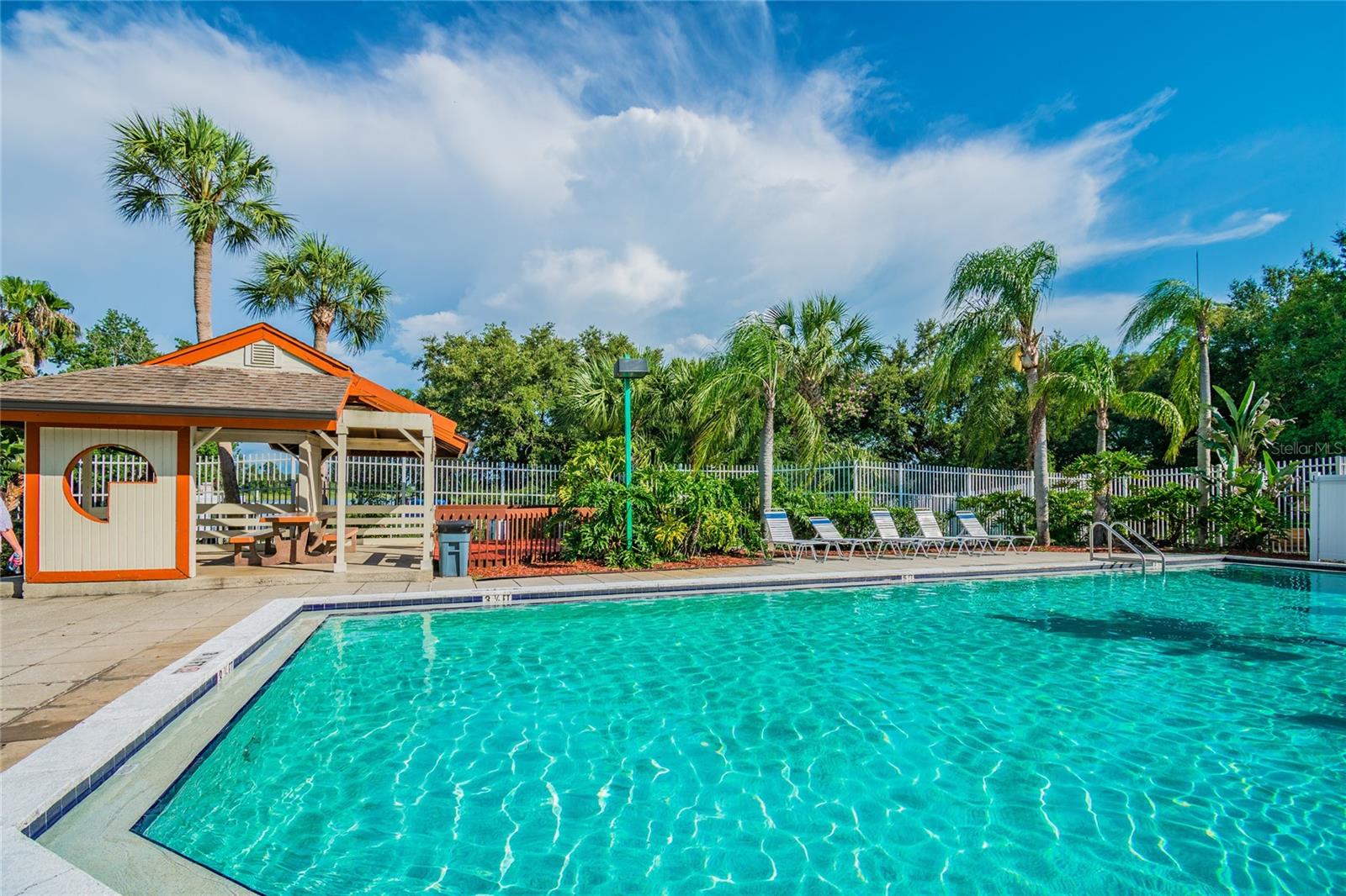 2803 NORTHCOTE DR, PALM HARBOR, FL, 34684