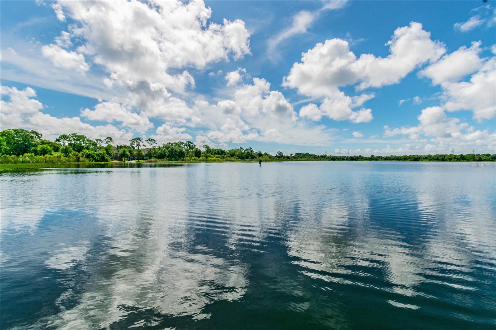 2803 NORTHCOTE DR, PALM HARBOR, FL, 34684