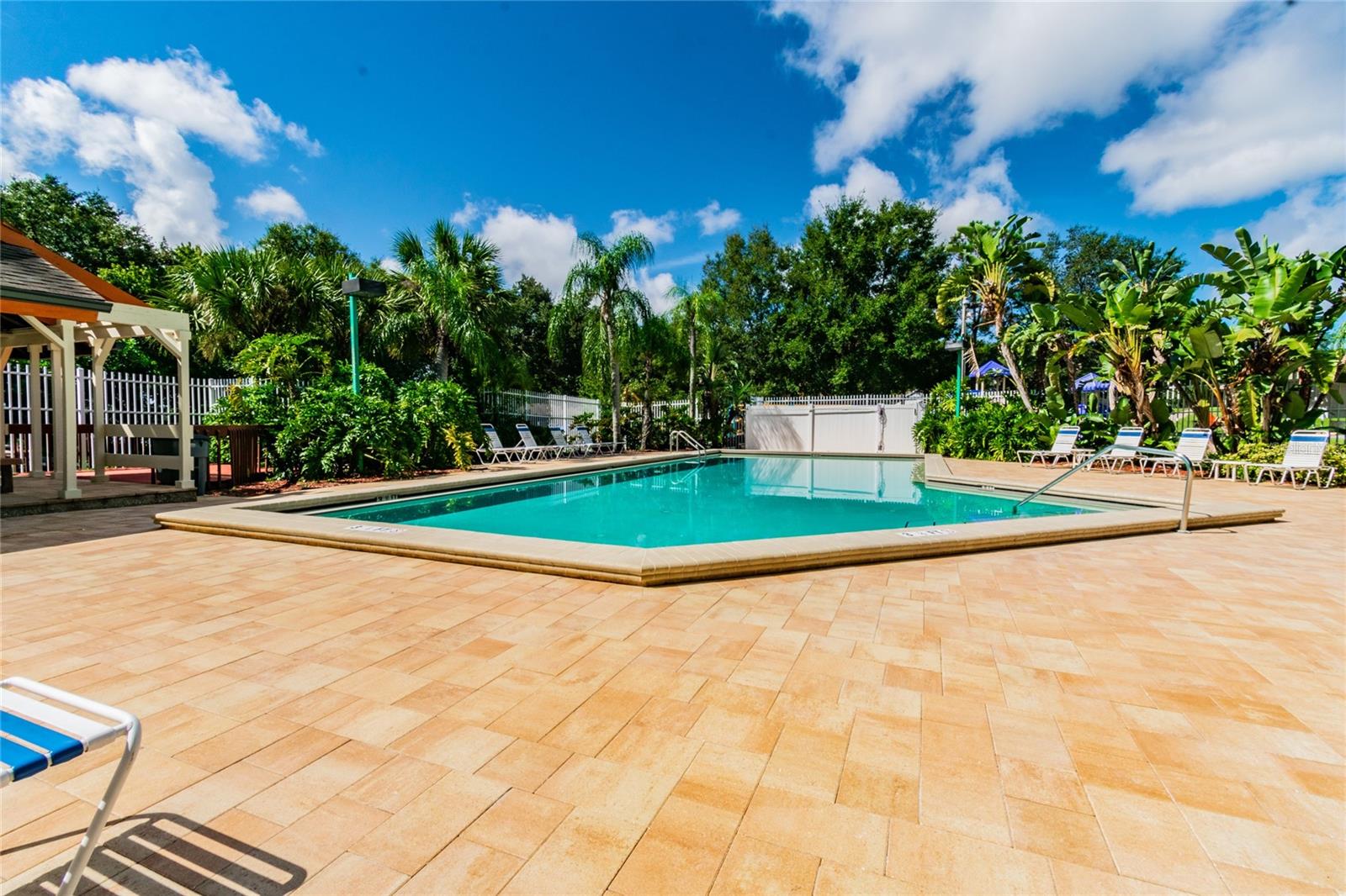 2803 NORTHCOTE DR, PALM HARBOR, FL, 34684