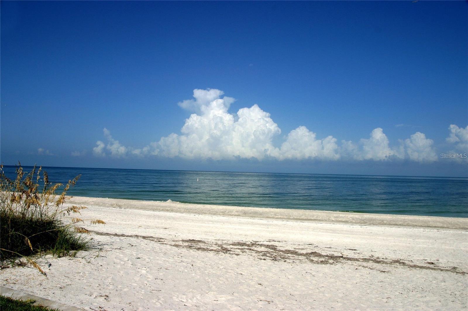 1480 GULF BLVD #401, CLEARWATER BEACH, FL, 33767