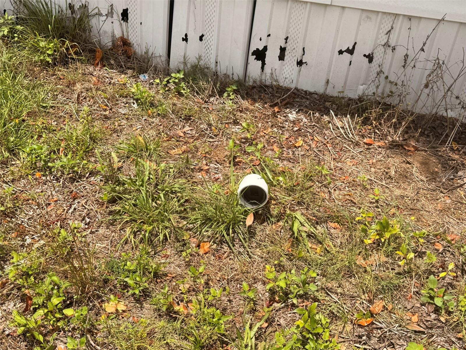21685 NE 133RD PL, FORT MC COY, FL, 32134