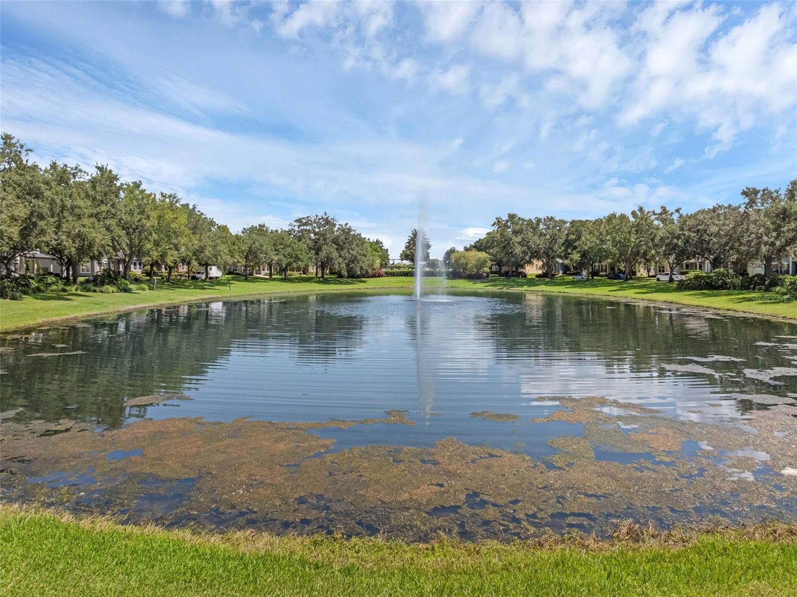 4718 BLUE MAJOR DR, WINDERMERE, FL, 34786