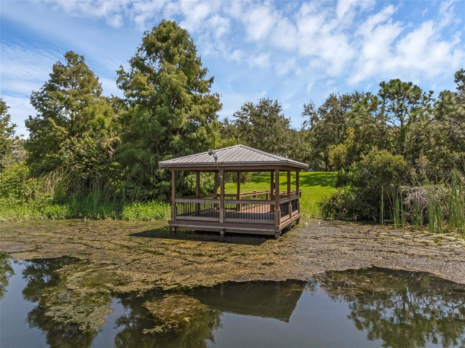 4718 BLUE MAJOR DR, WINDERMERE, FL, 34786