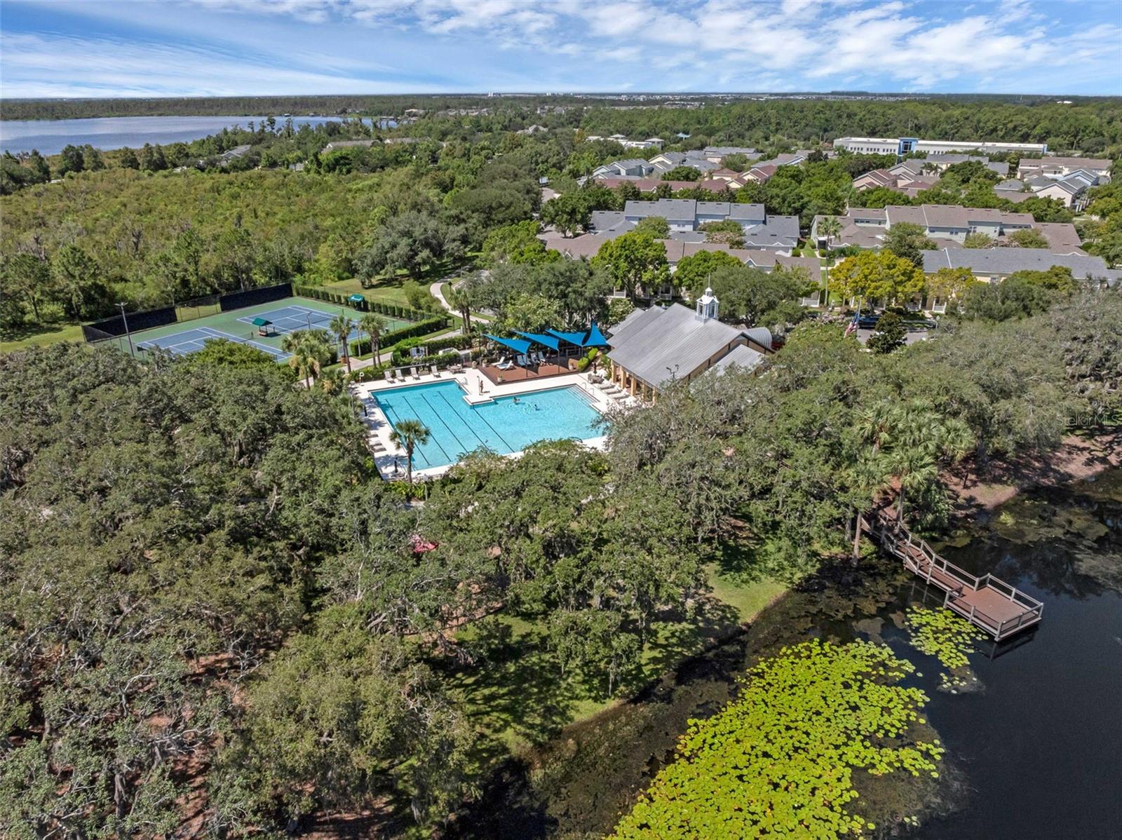 4718 BLUE MAJOR DR, WINDERMERE, FL, 34786
