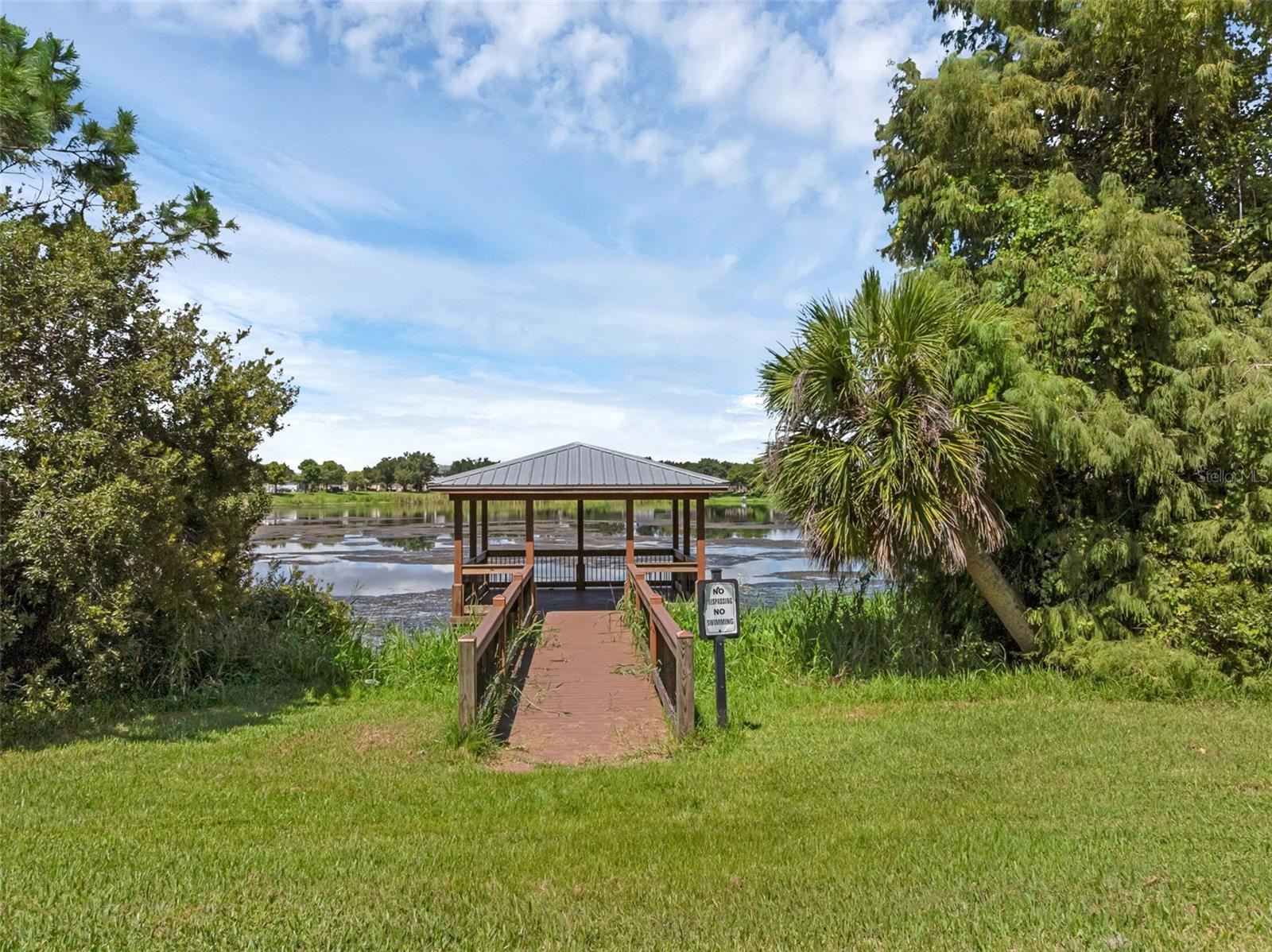 4718 BLUE MAJOR DR, WINDERMERE, FL, 34786