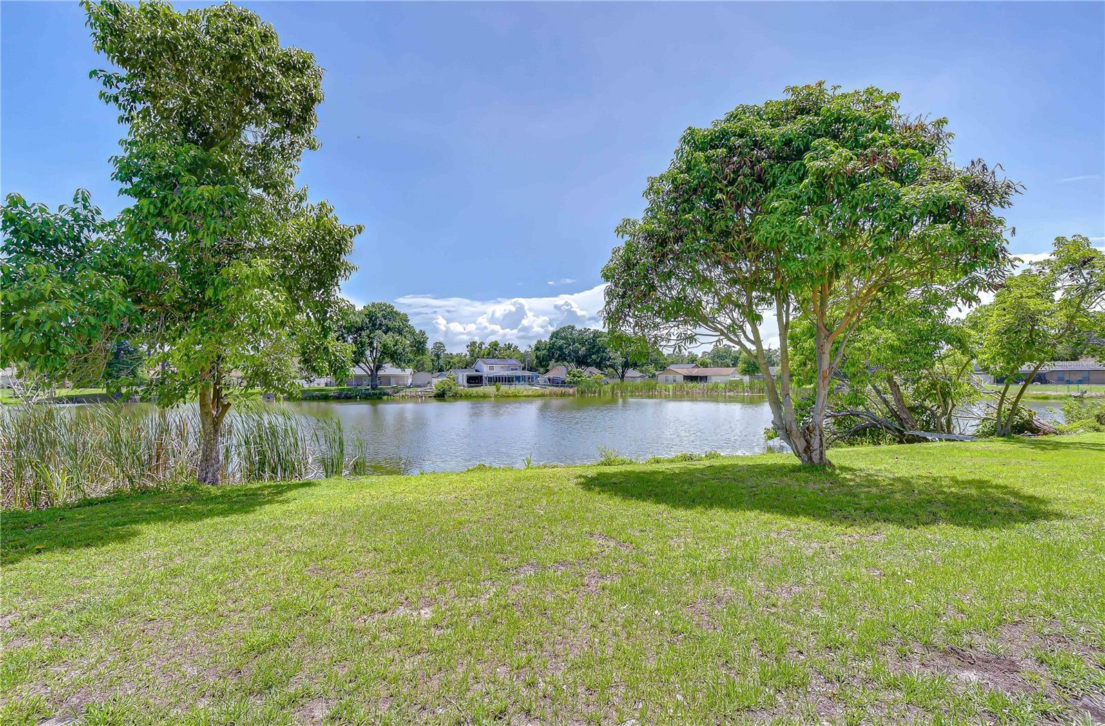 7214 NIA LN, TAMPA, FL, 33625
