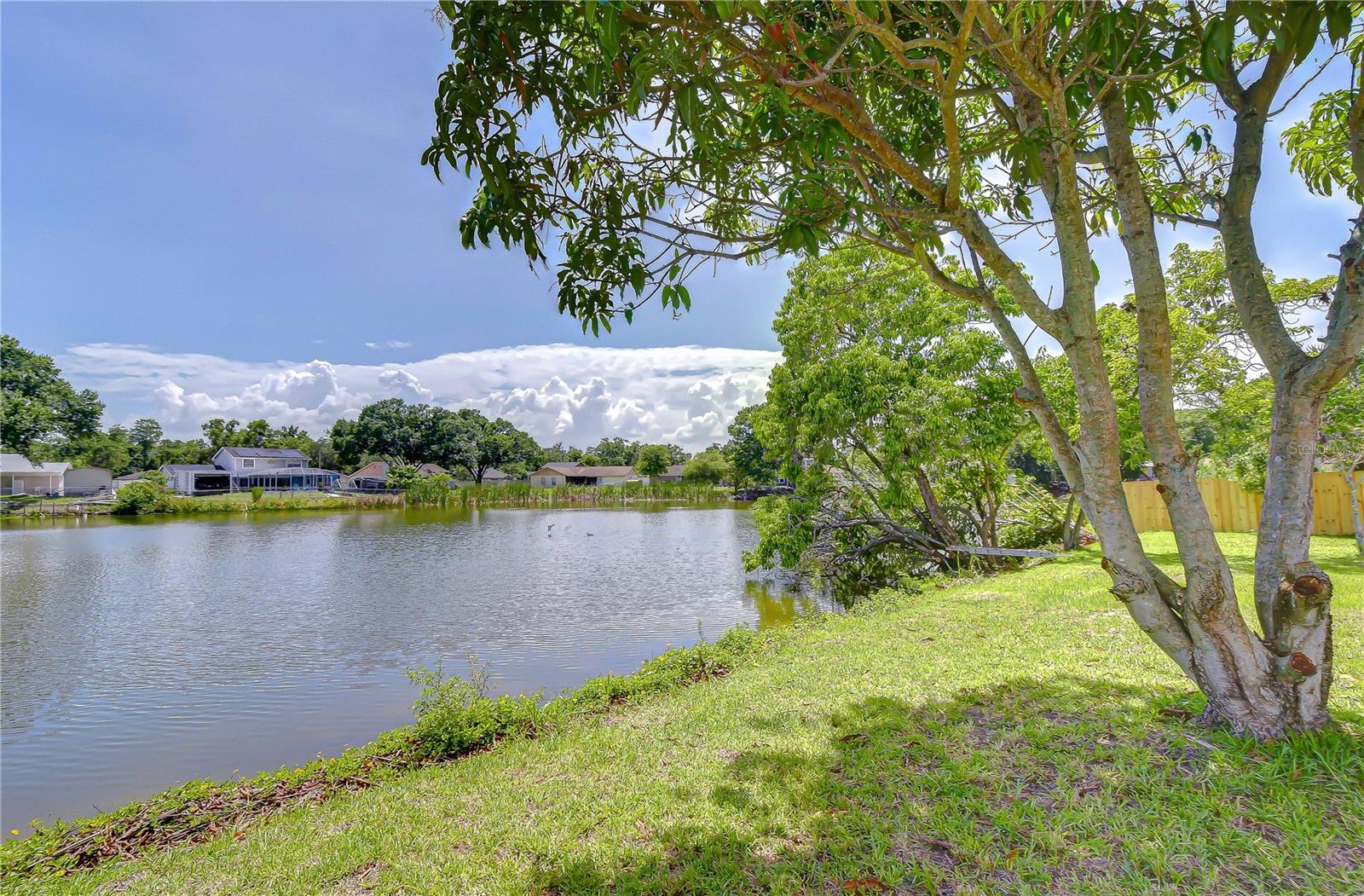 7214 NIA LN, TAMPA, FL, 33625