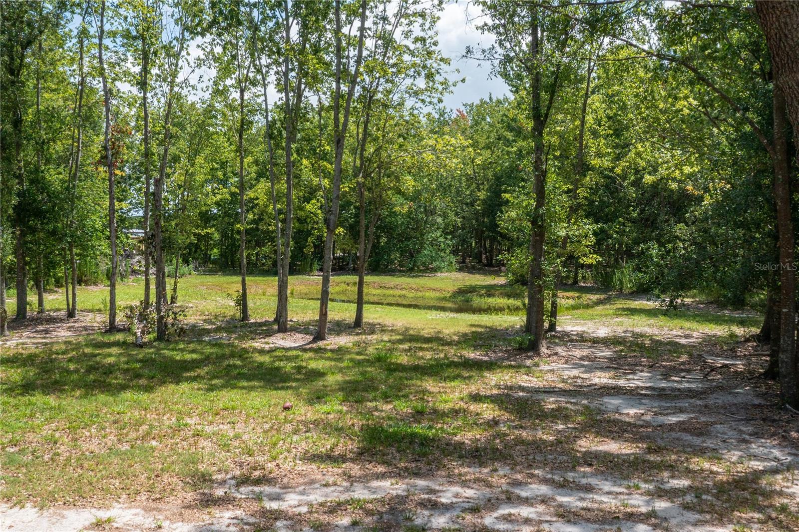 15079 BRAHMA RD, POLK CITY, FL, 33868
