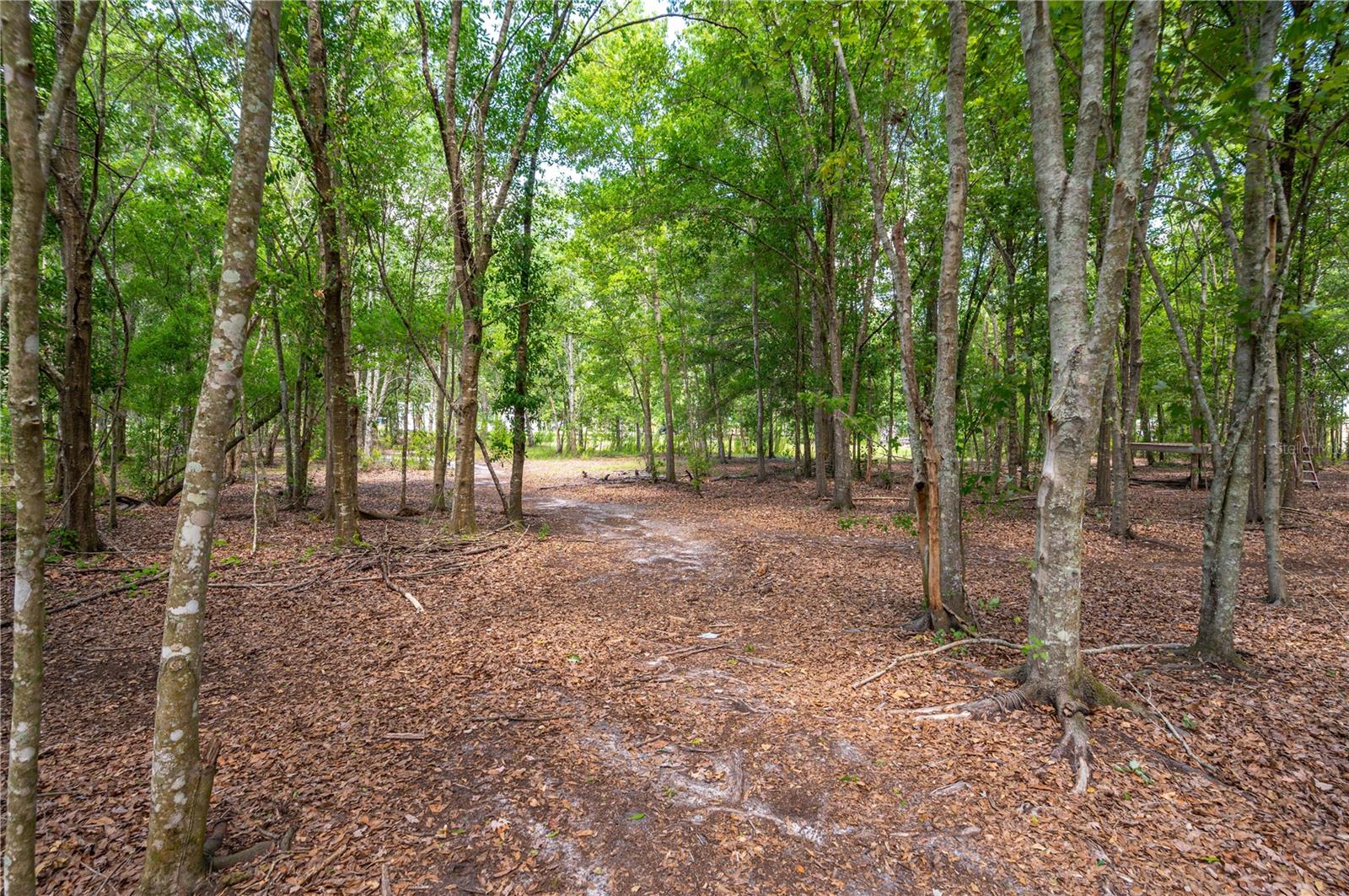 15079 BRAHMA RD, POLK CITY, FL, 33868
