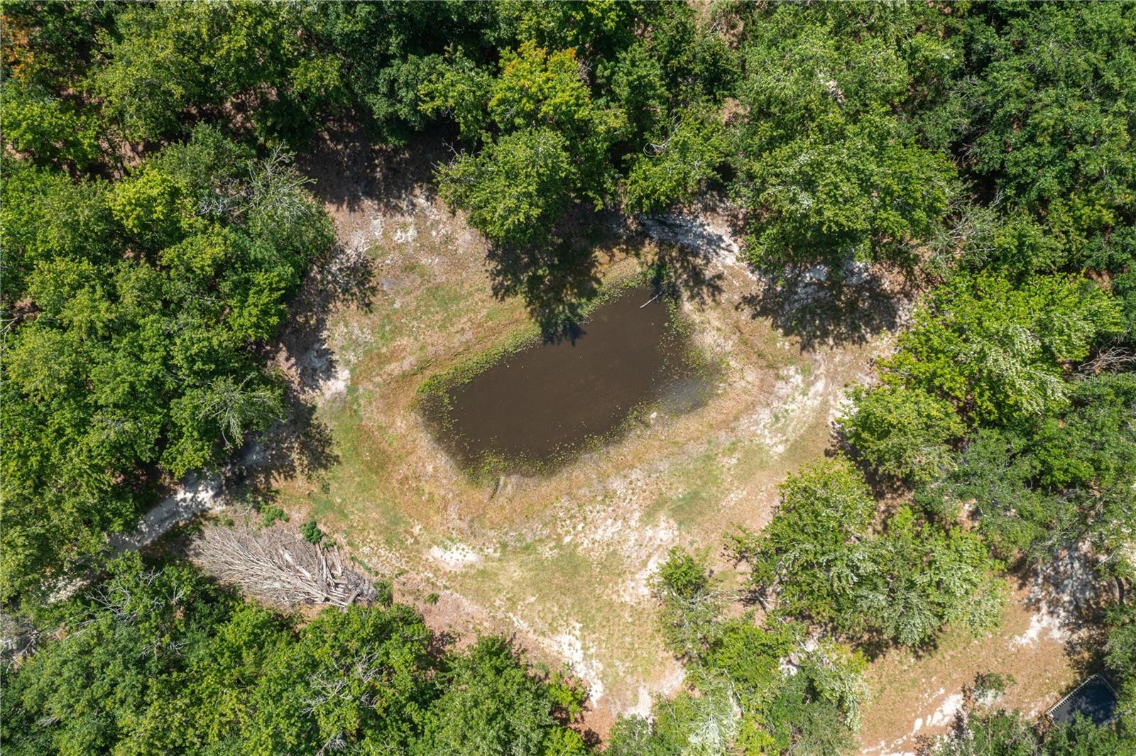 15079 BRAHMA RD, POLK CITY, FL, 33868