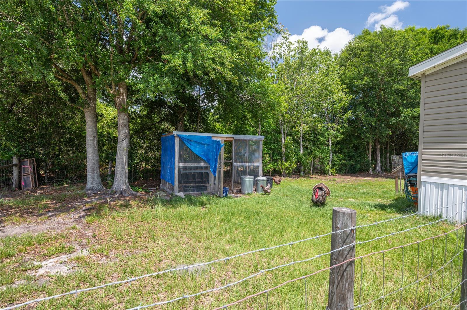 15079 BRAHMA RD, POLK CITY, FL, 33868