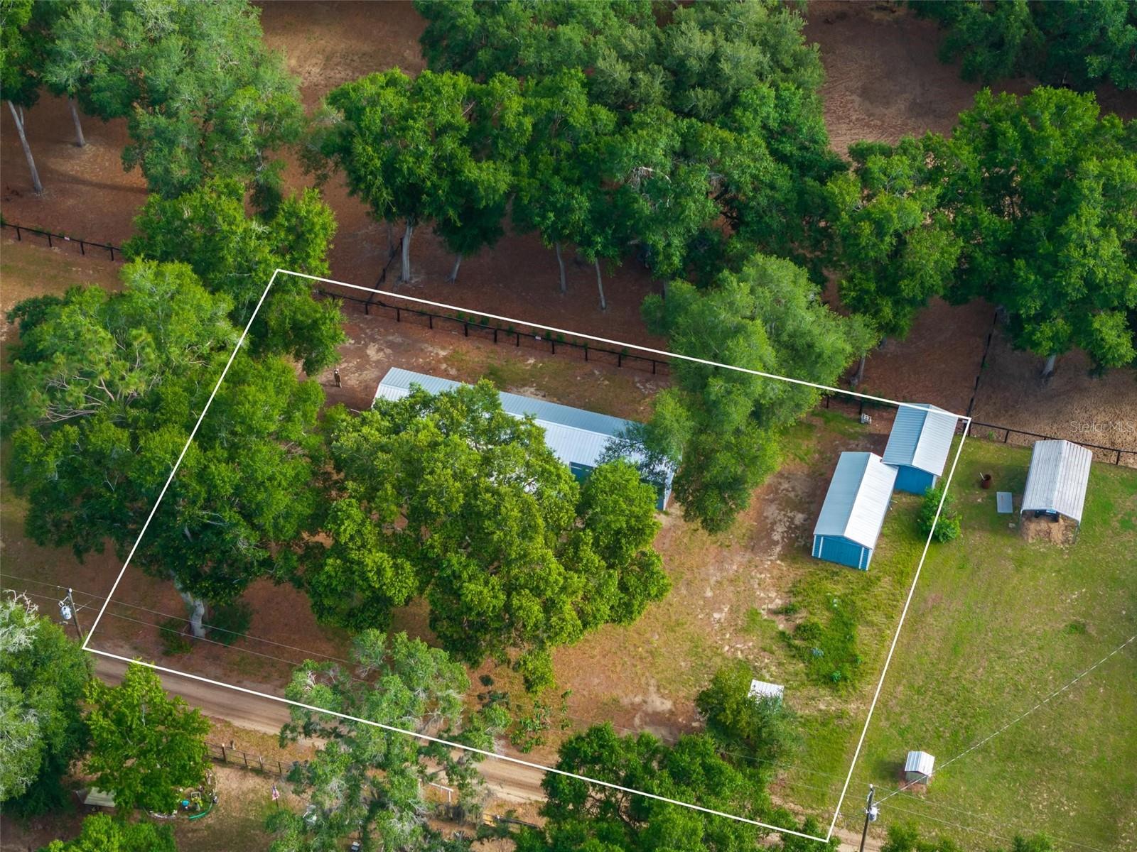 23939 NE 121 LN, SALT SPRINGS, FL, 32134
