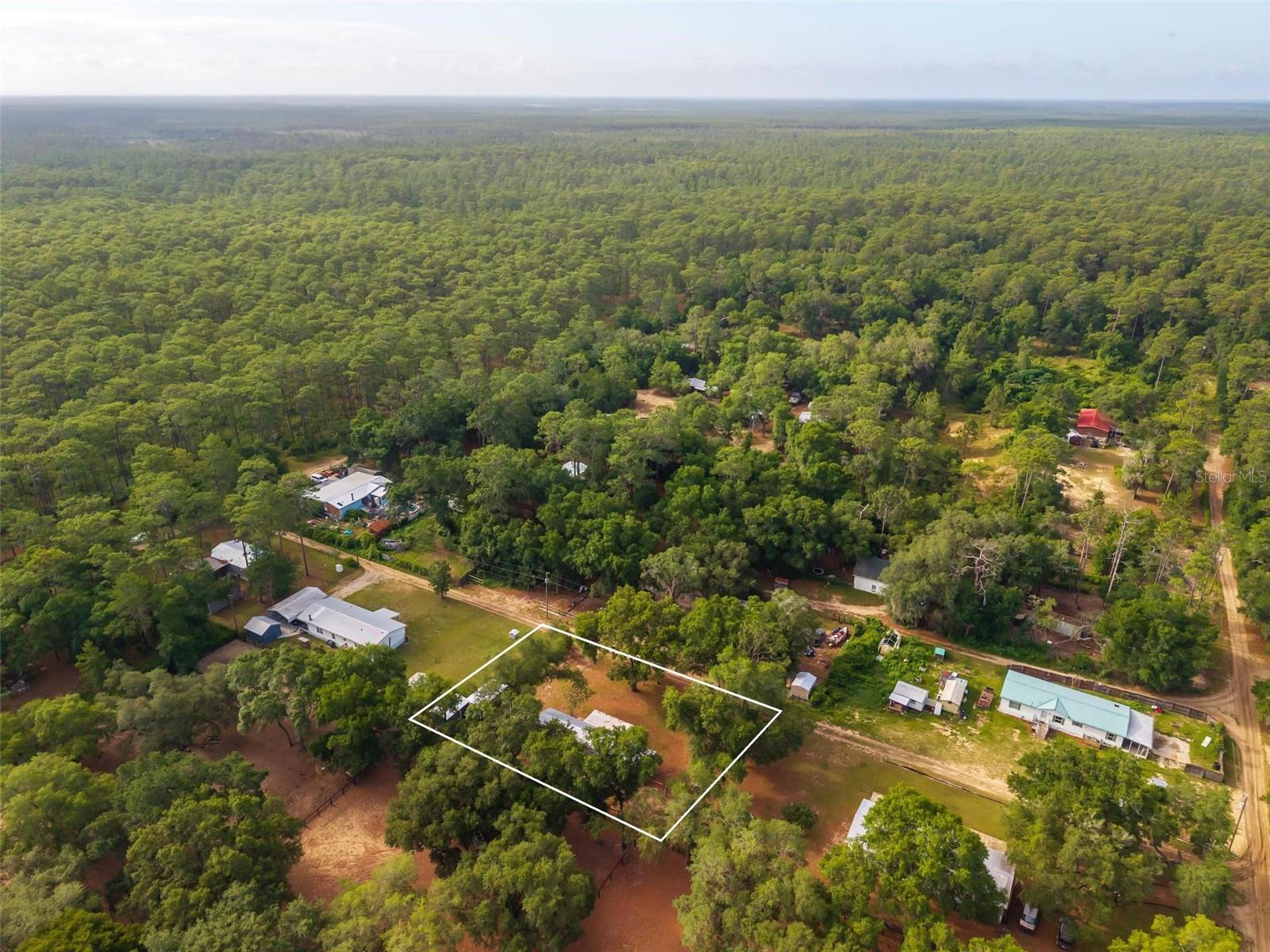 23939 NE 121 LN, SALT SPRINGS, FL, 32134