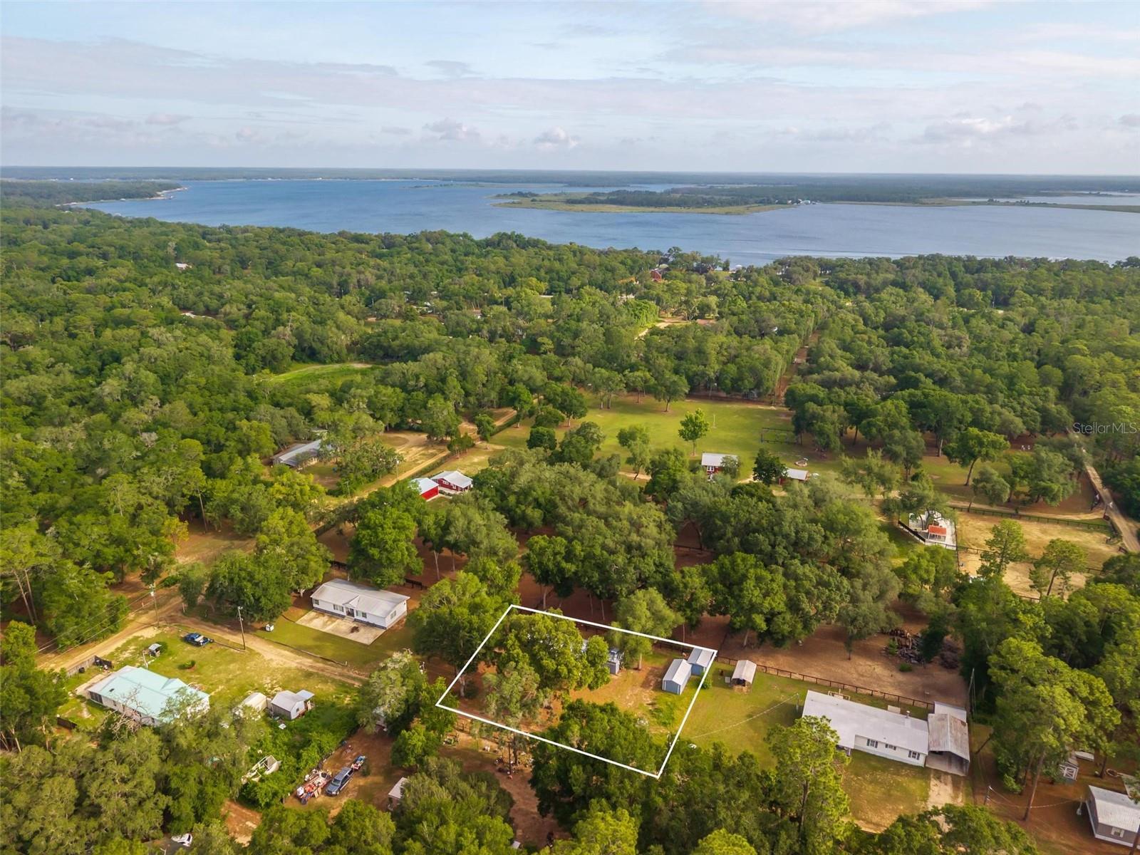 23939 NE 121 LN, SALT SPRINGS, FL, 32134