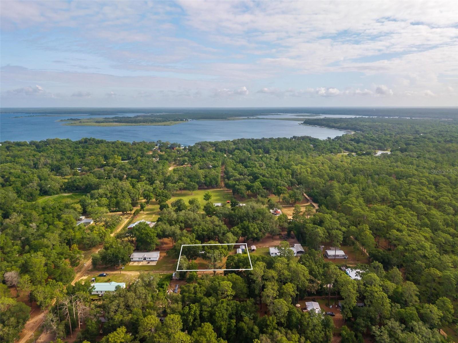 23939 NE 121 LN, SALT SPRINGS, FL, 32134