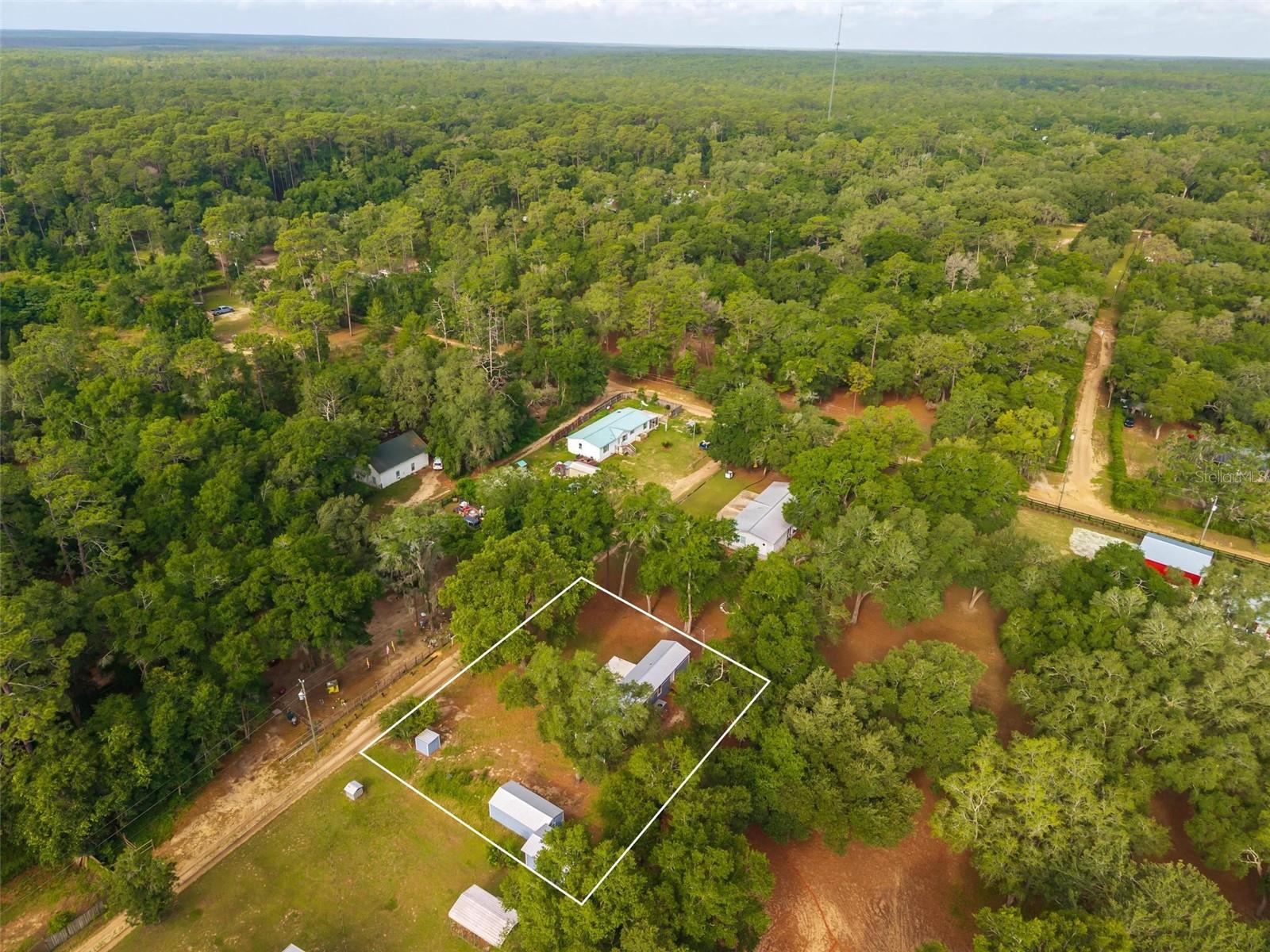 23939 NE 121 LN, SALT SPRINGS, FL, 32134