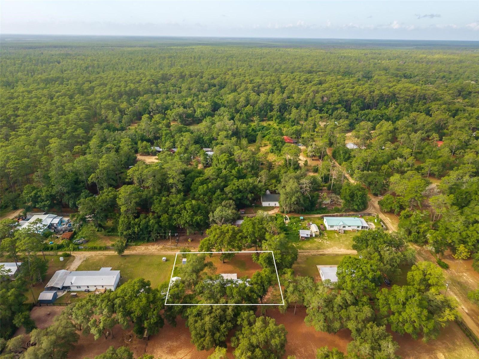 23939 NE 121 LN, SALT SPRINGS, FL, 32134