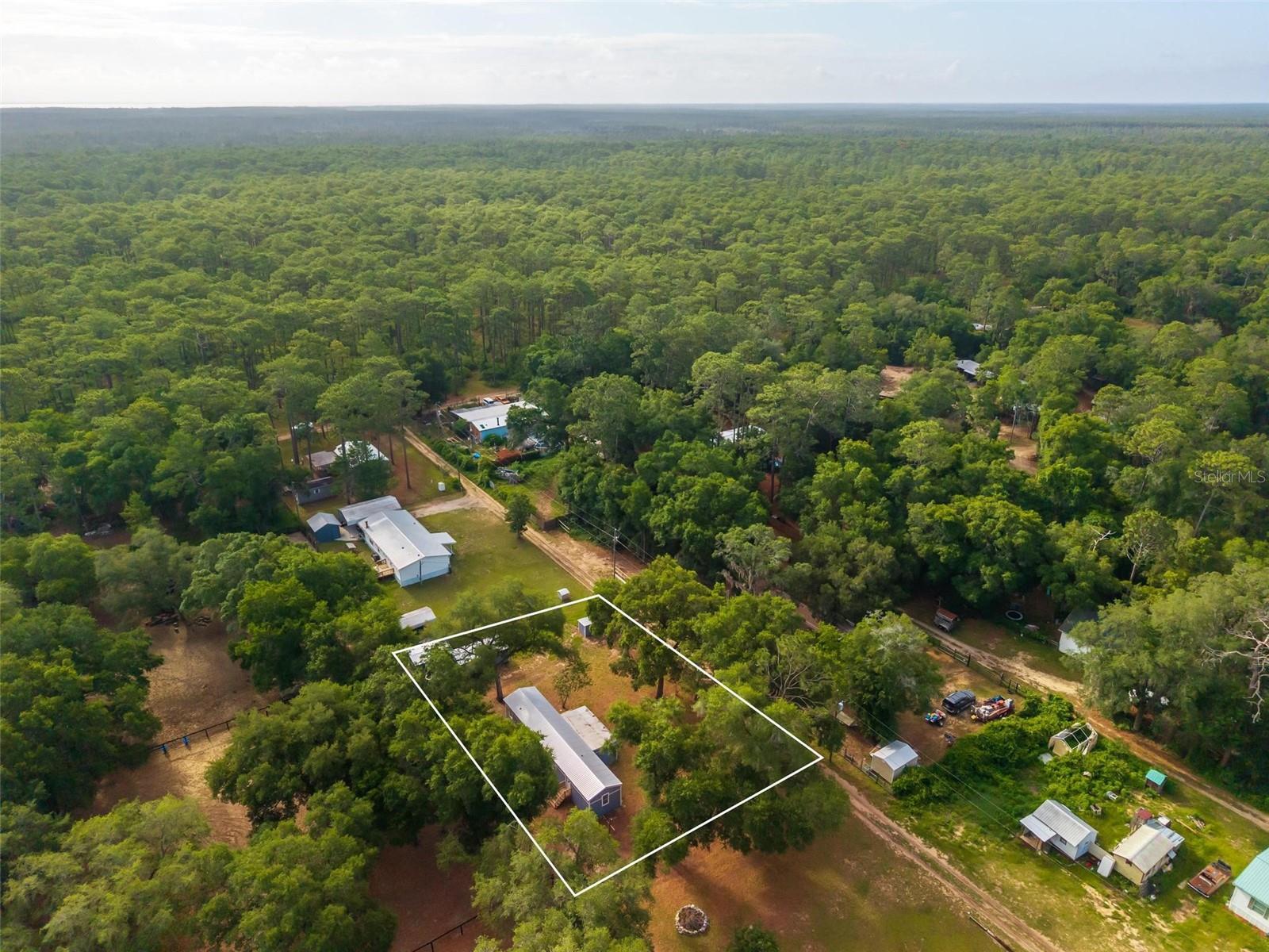 23939 NE 121 LN, SALT SPRINGS, FL, 32134
