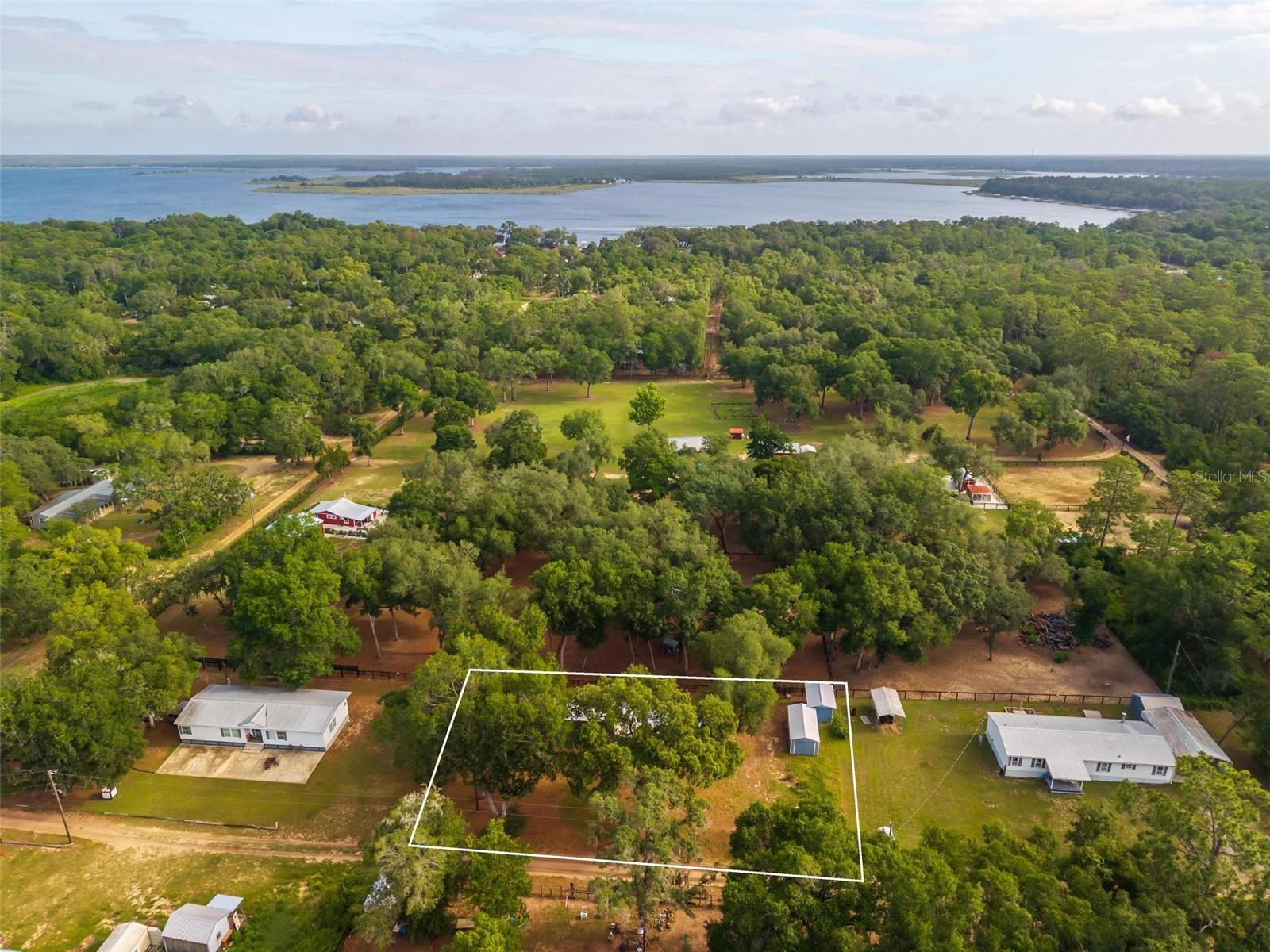 23939 NE 121 LN, SALT SPRINGS, FL, 32134