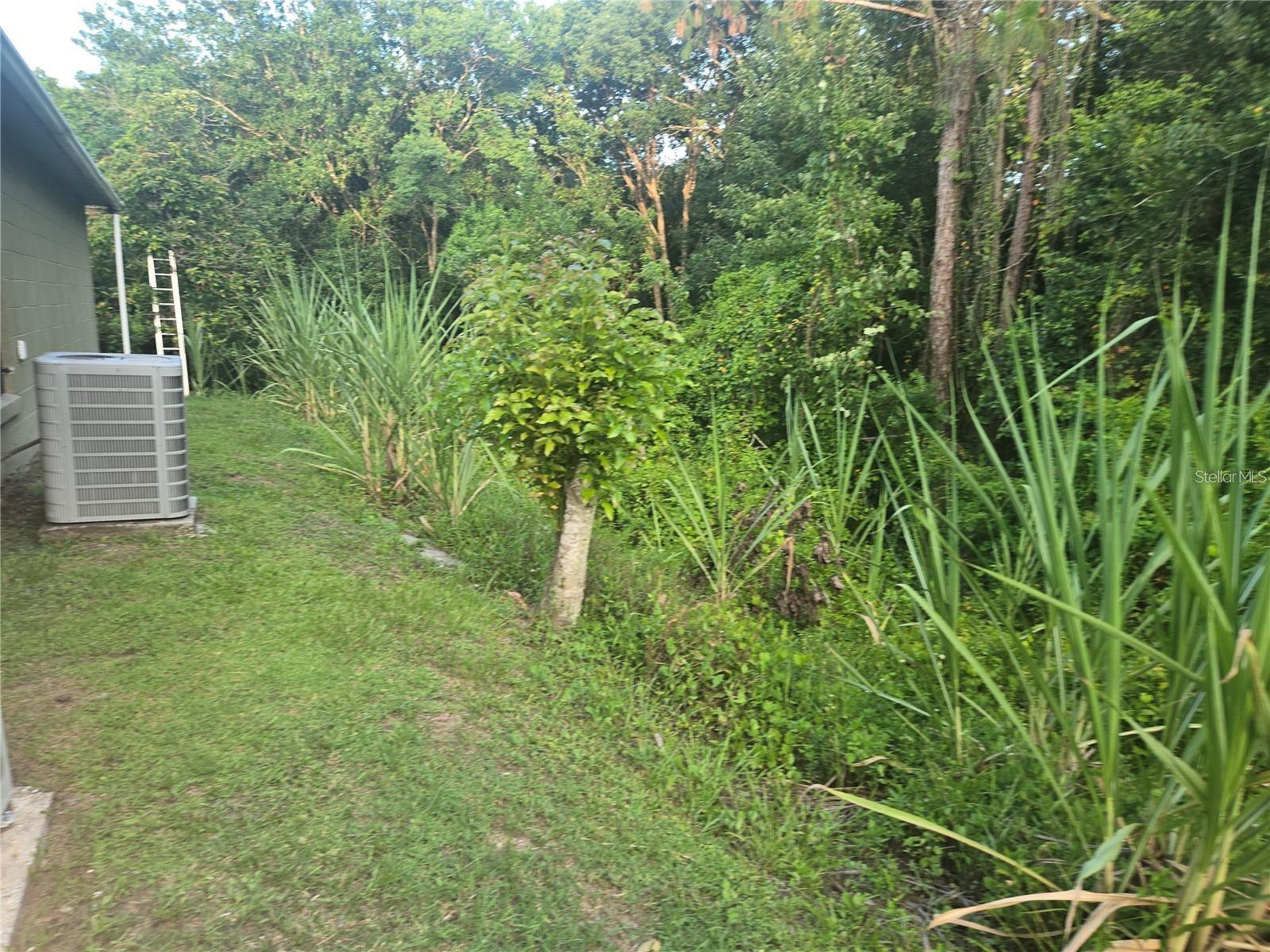 679 MIDORI ST, ORLANDO, FL, 32811