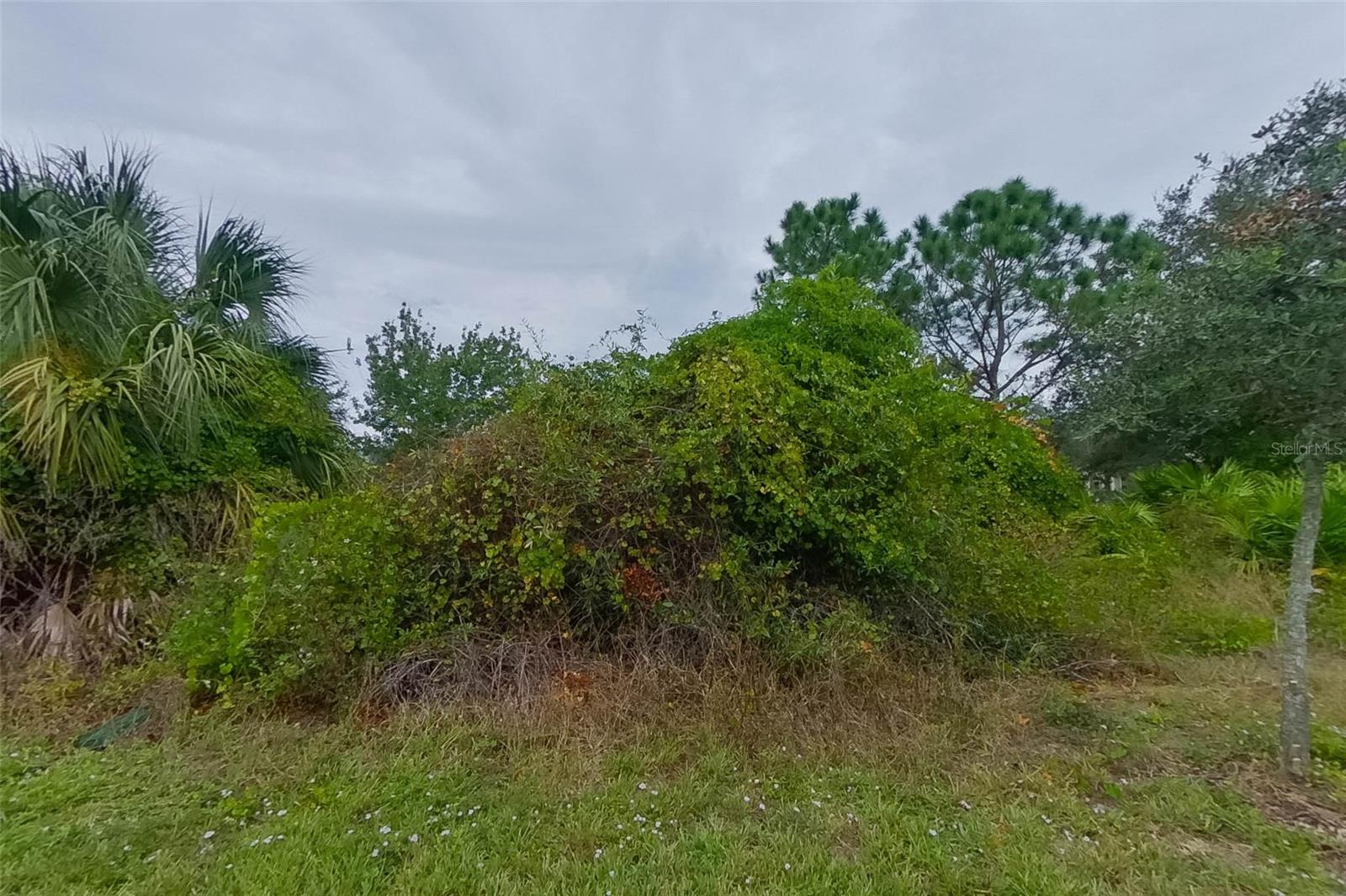 9131 AEGEAN CIR, LEHIGH ACRES, FL, 33936