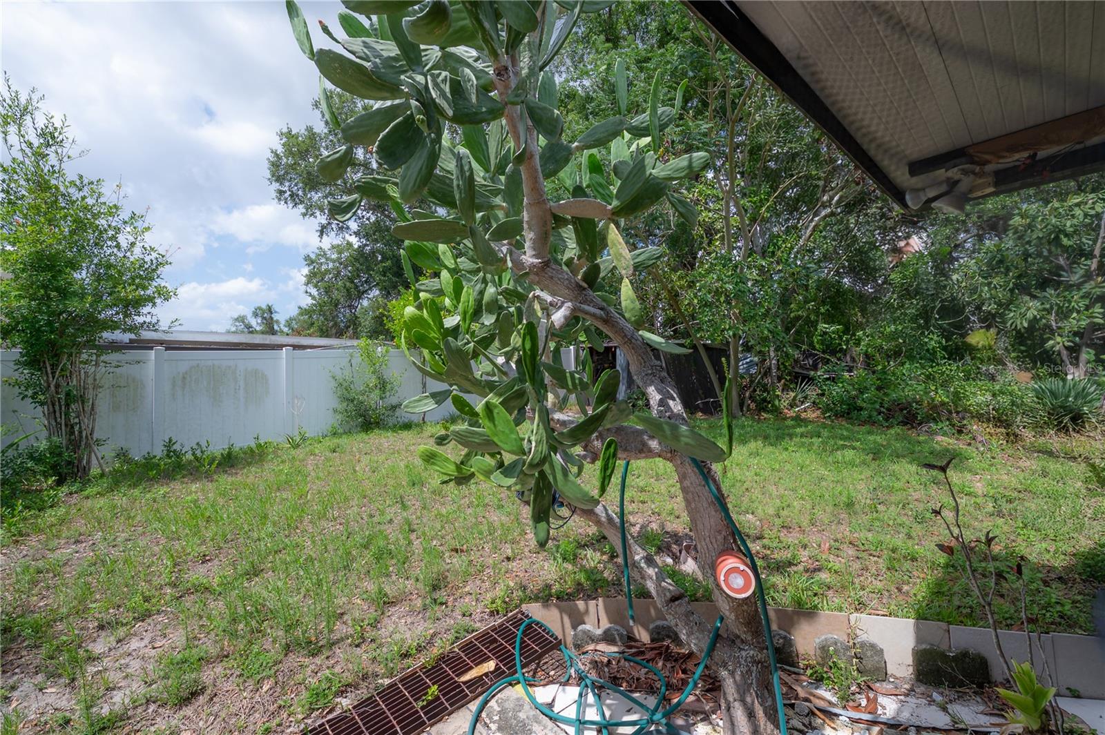 3803 RIVER GROVE DR, TAMPA, FL, 33610