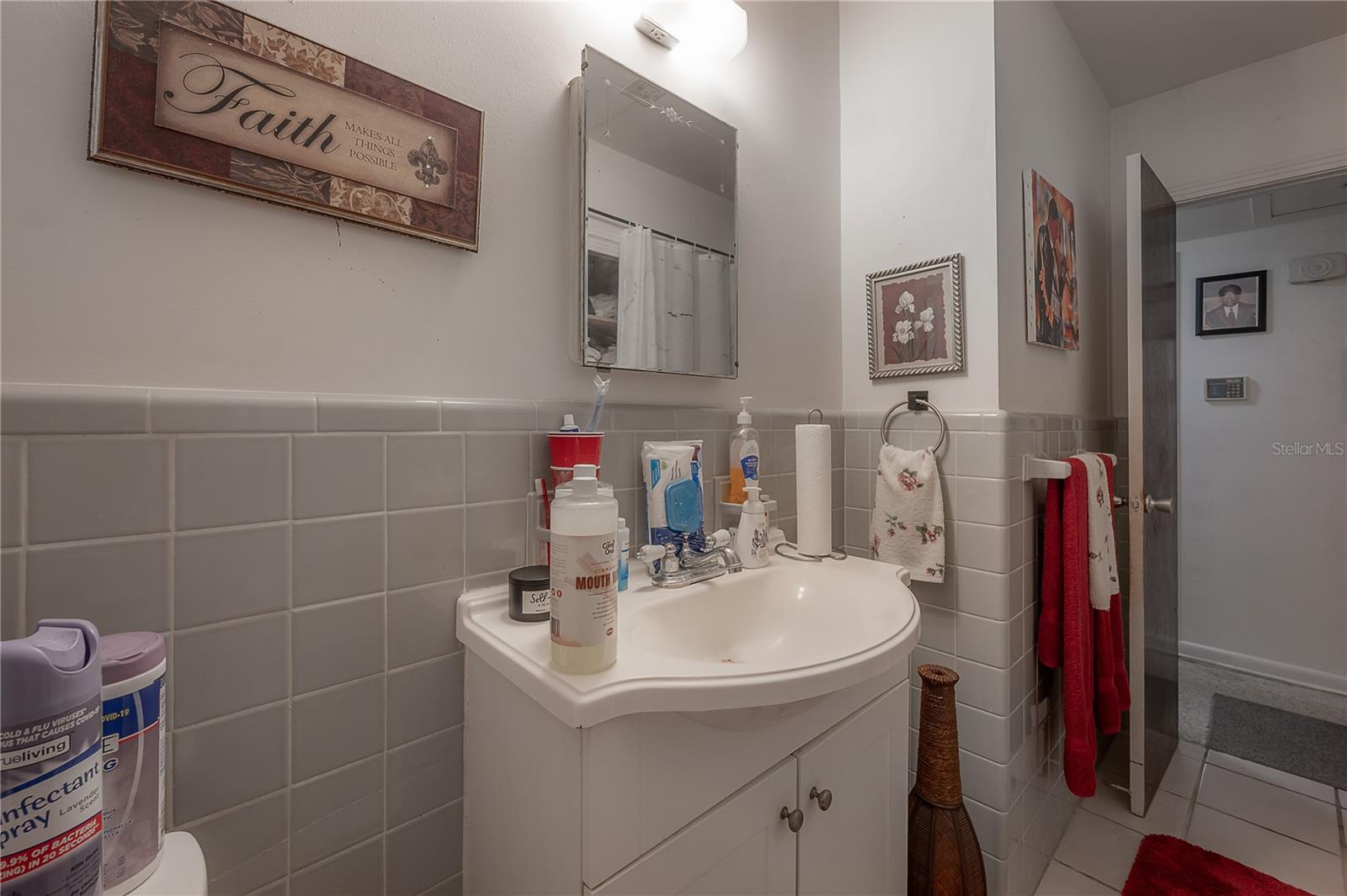 3803 RIVER GROVE DR, TAMPA, FL, 33610