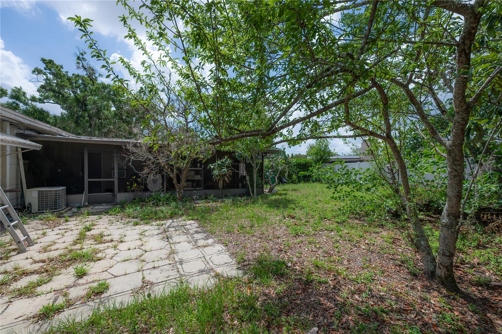 3803 RIVER GROVE DR, TAMPA, FL, 33610