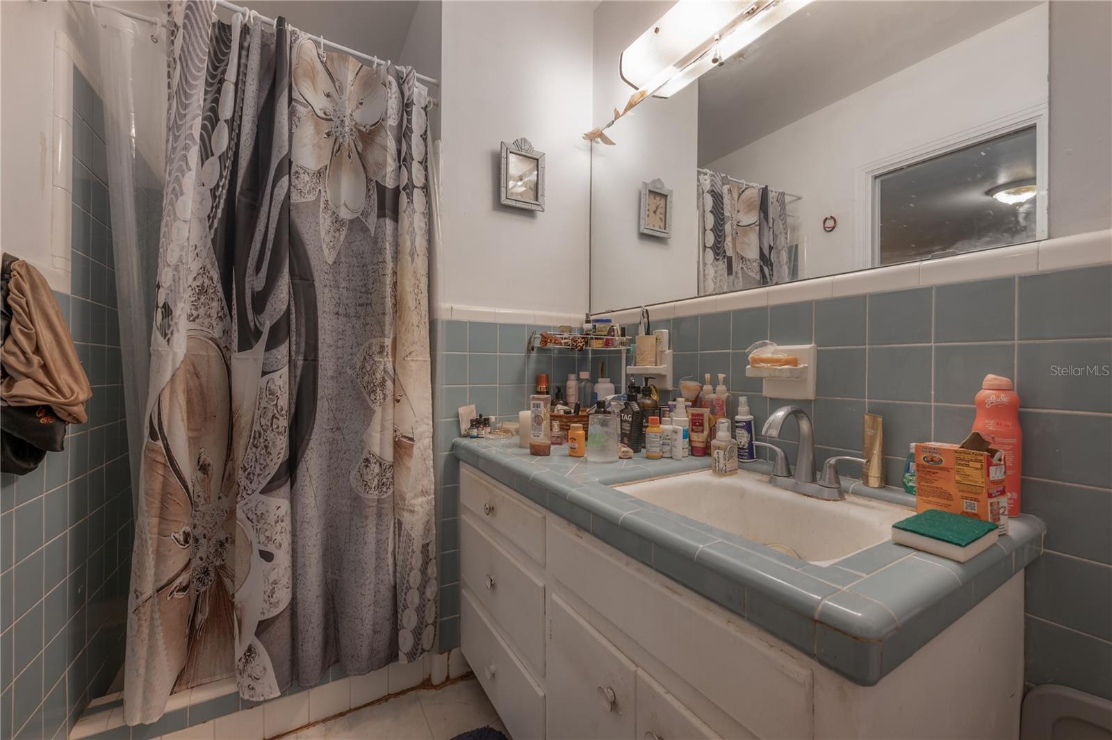 3803 RIVER GROVE DR, TAMPA, FL, 33610
