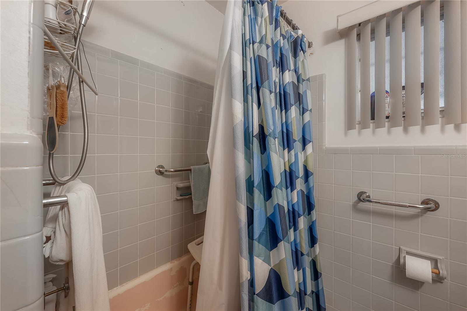 3803 RIVER GROVE DR, TAMPA, FL, 33610