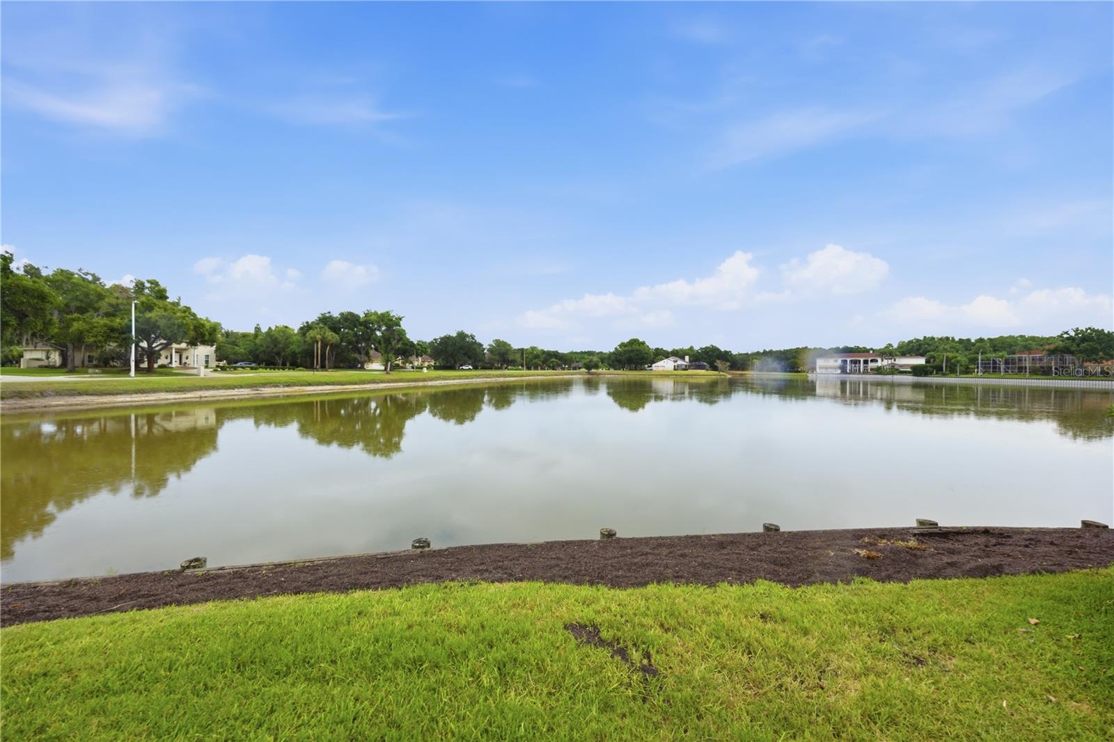 4123 HIGHLAND PARK CIR, LUTZ, FL, 33558