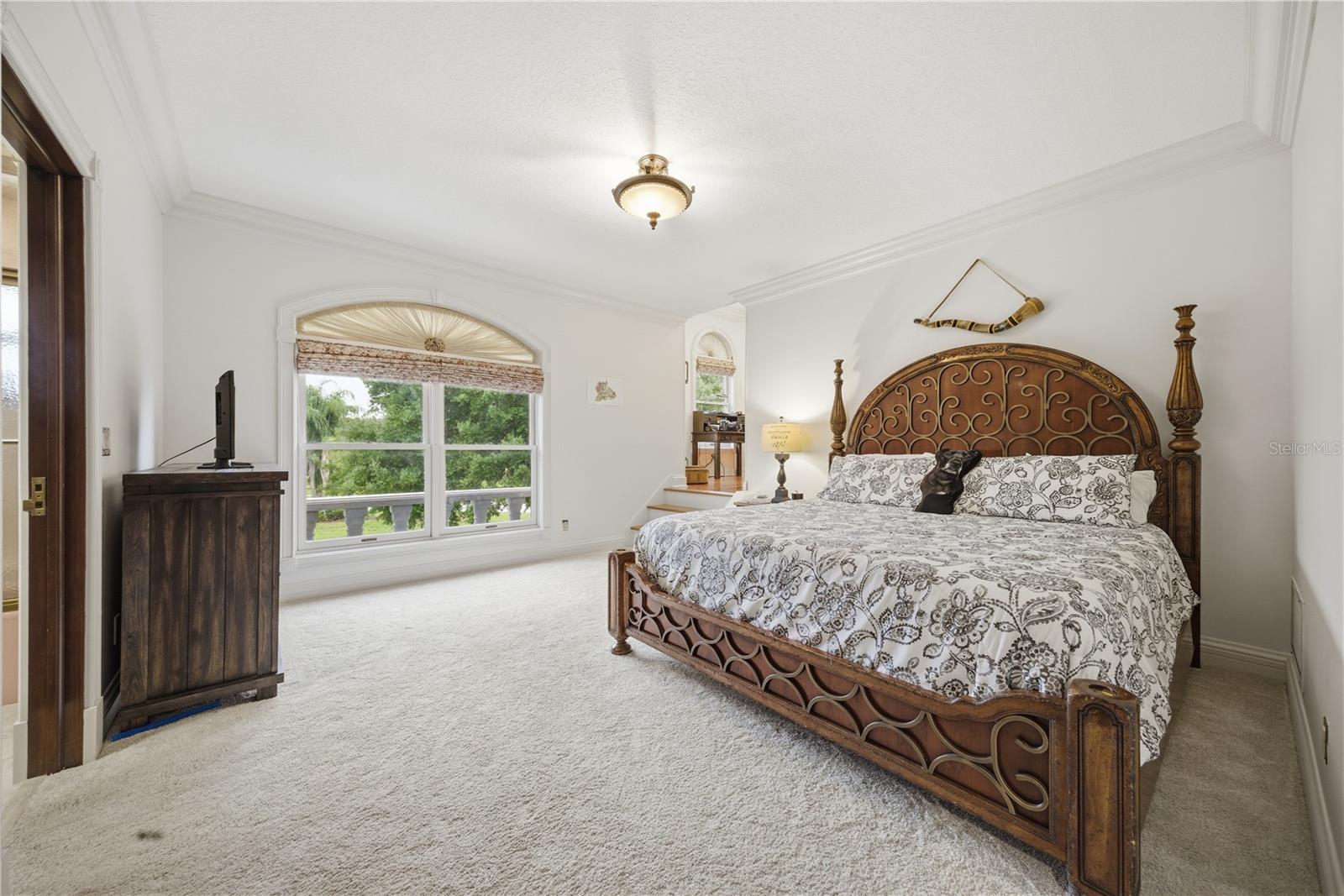 4123 HIGHLAND PARK CIR, LUTZ, FL, 33558
