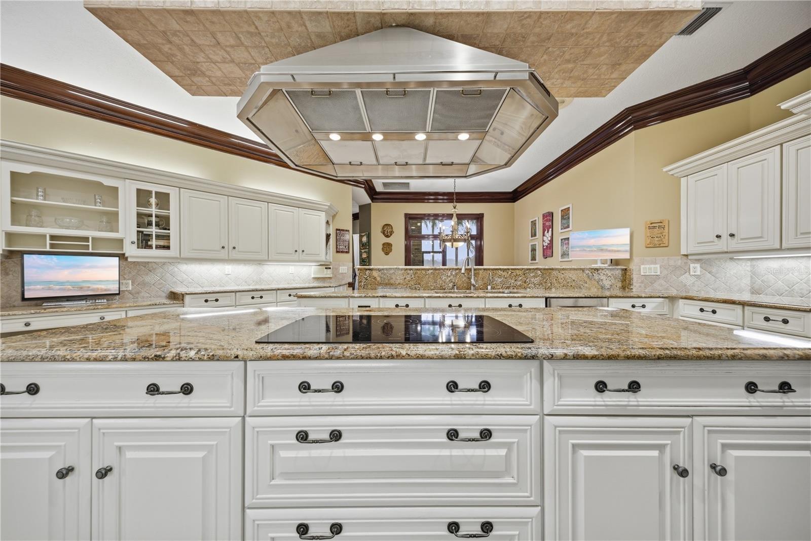 4123 HIGHLAND PARK CIR, LUTZ, FL, 33558