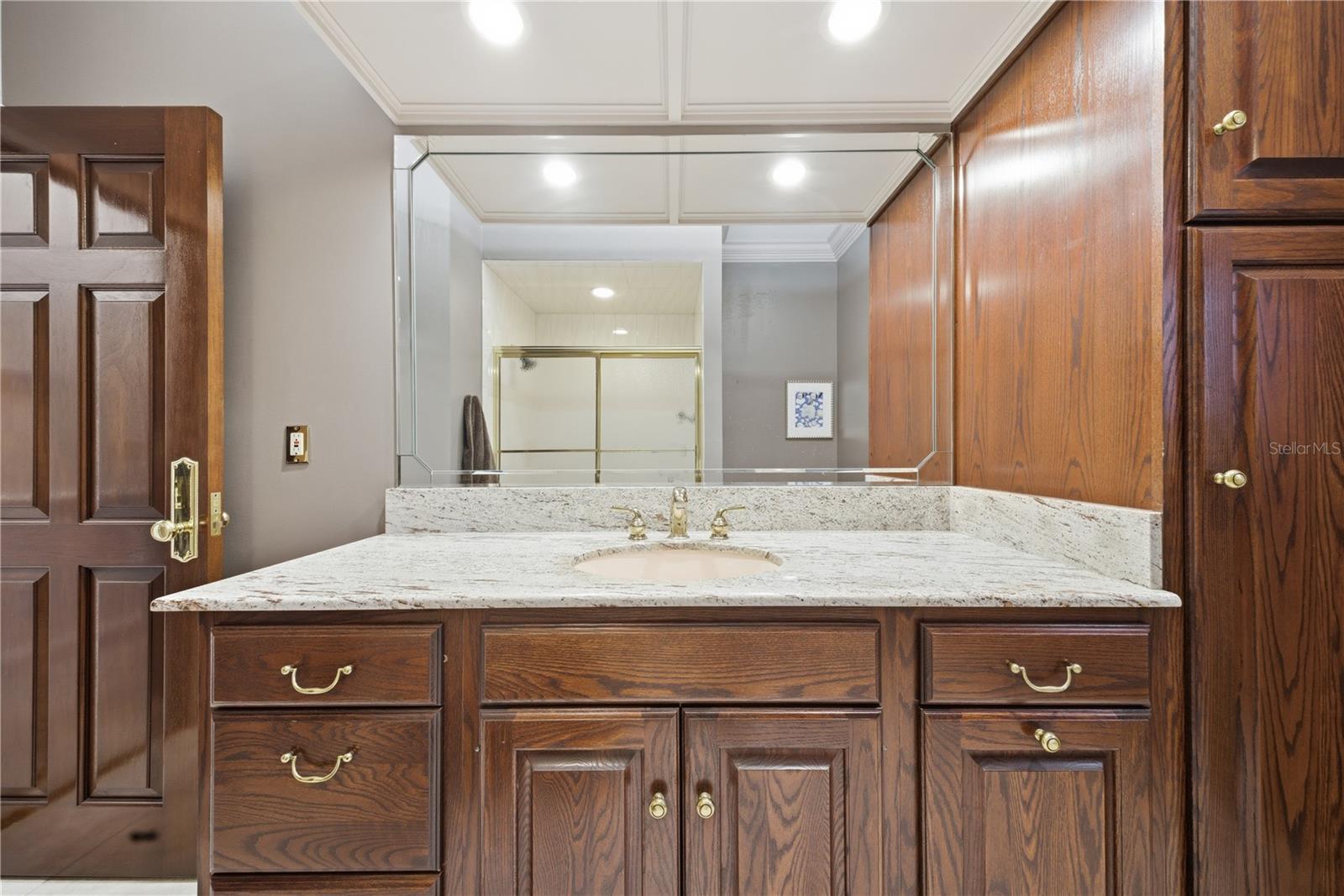 4123 HIGHLAND PARK CIR, LUTZ, FL, 33558
