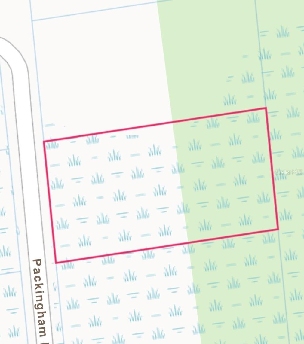 PACKINGHAM DR, LOT 10, WEBSTER, FL, 33597