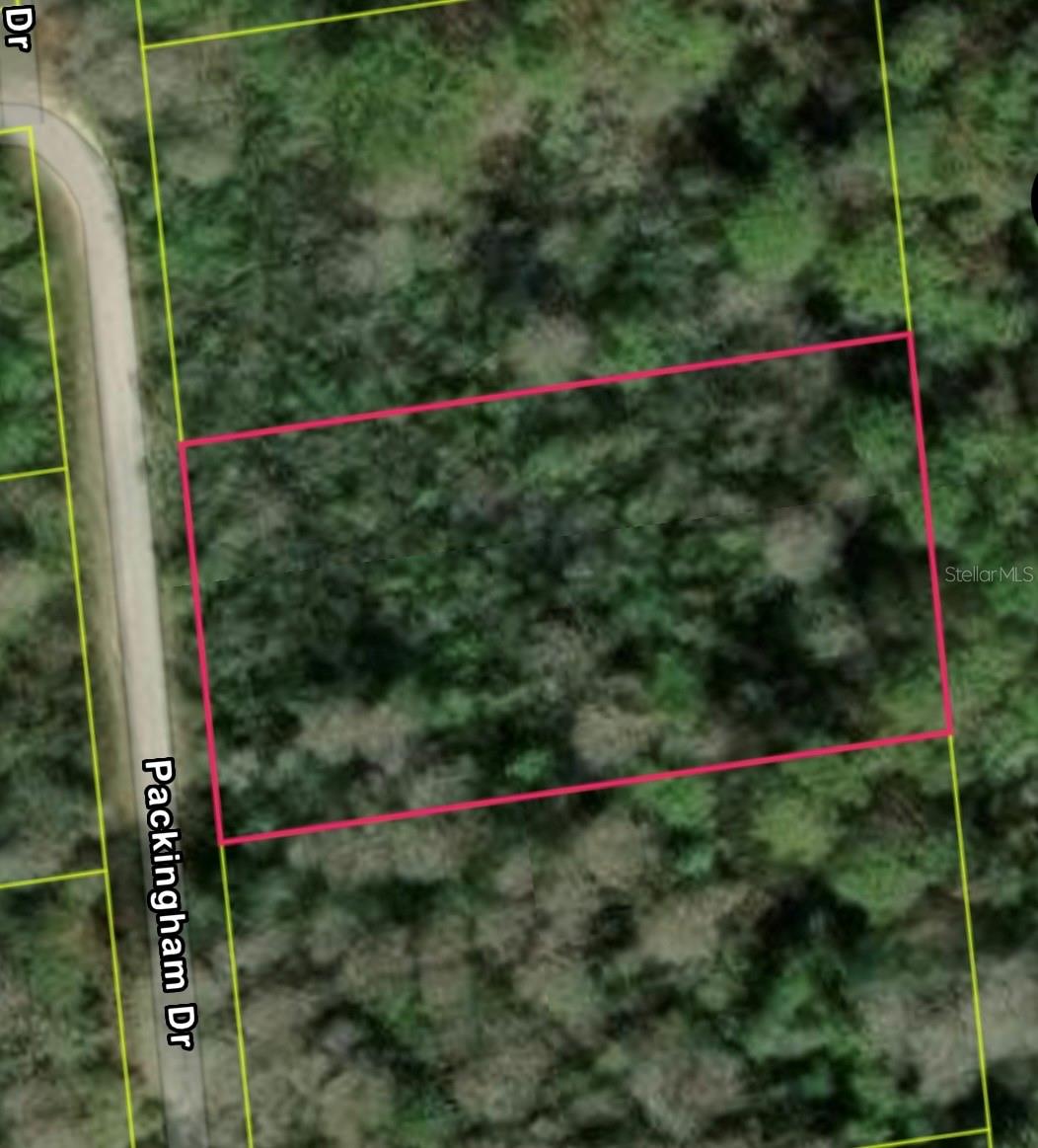 PACKINGHAM DR, LOT 10, WEBSTER, FL, 33597