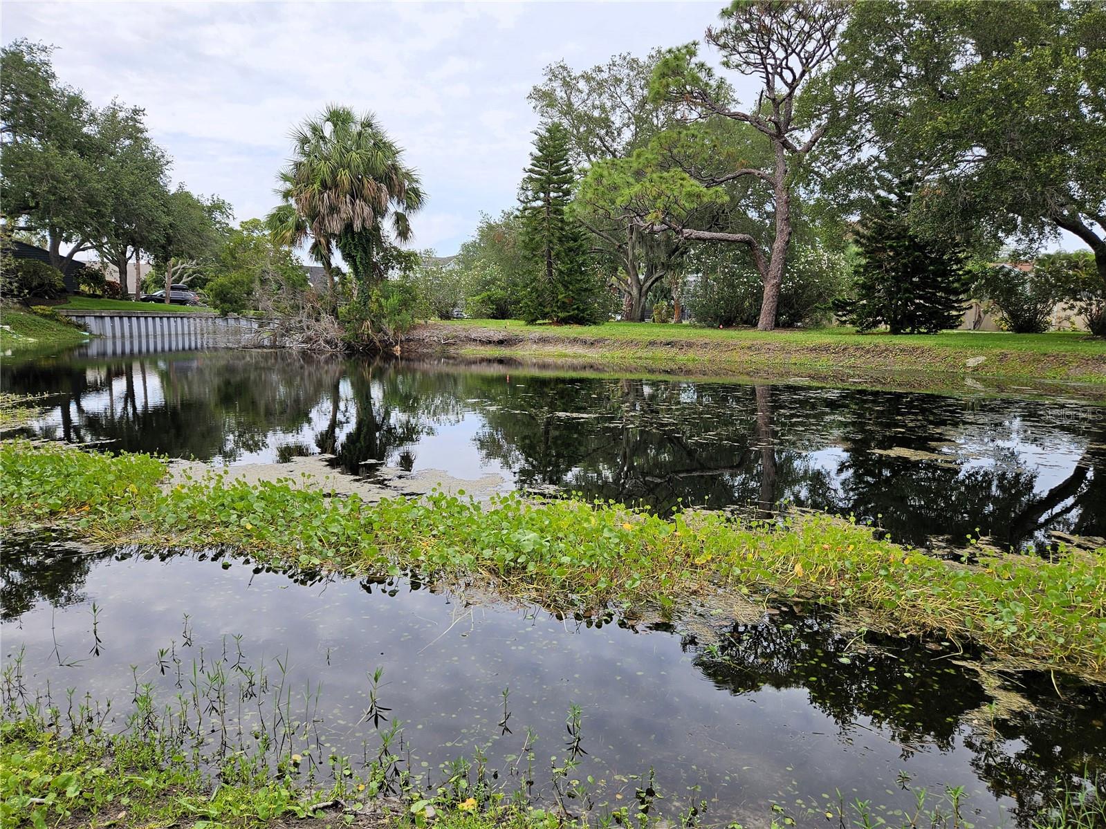 1800 MARINER DR #9, TARPON SPRINGS, FL, 34689