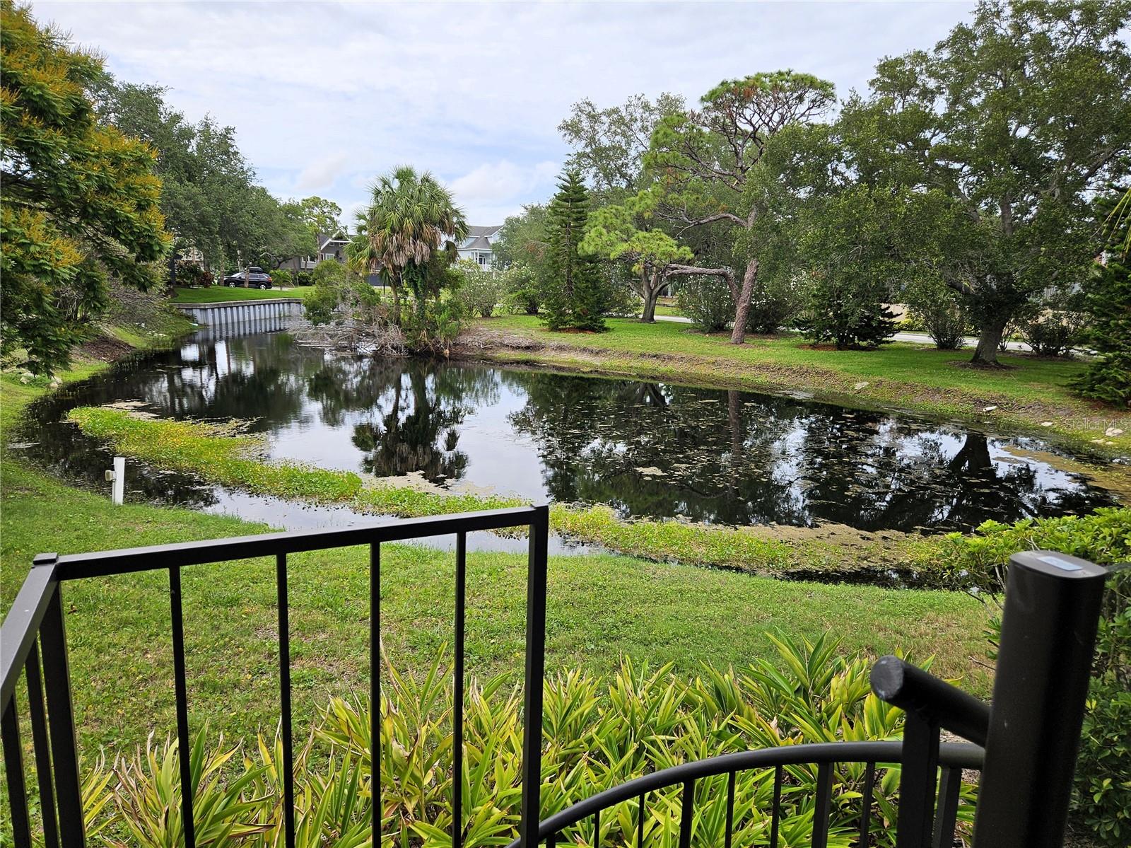 1800 MARINER DR #9, TARPON SPRINGS, FL, 34689