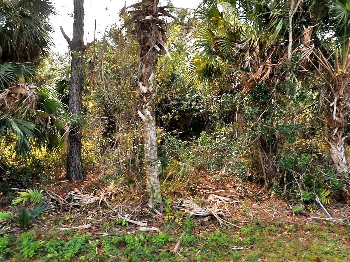 VOGLER LN, NORTH PORT, FL, 34286