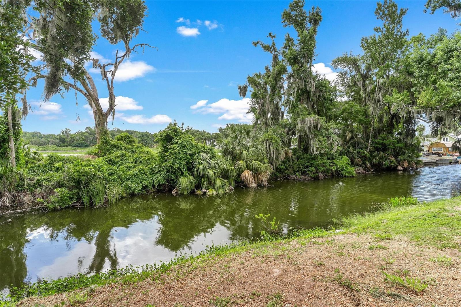 1008 MONTEREY DR, LEESBURG, FL, 34748