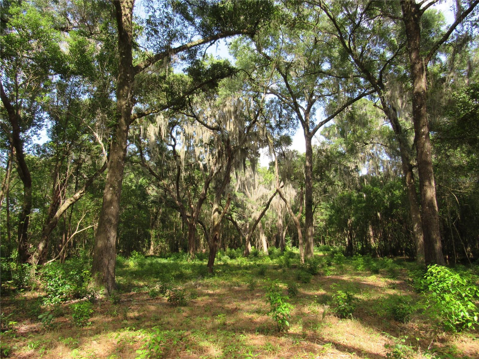 OAK VALLEY DR, DELAND, FL, 32720