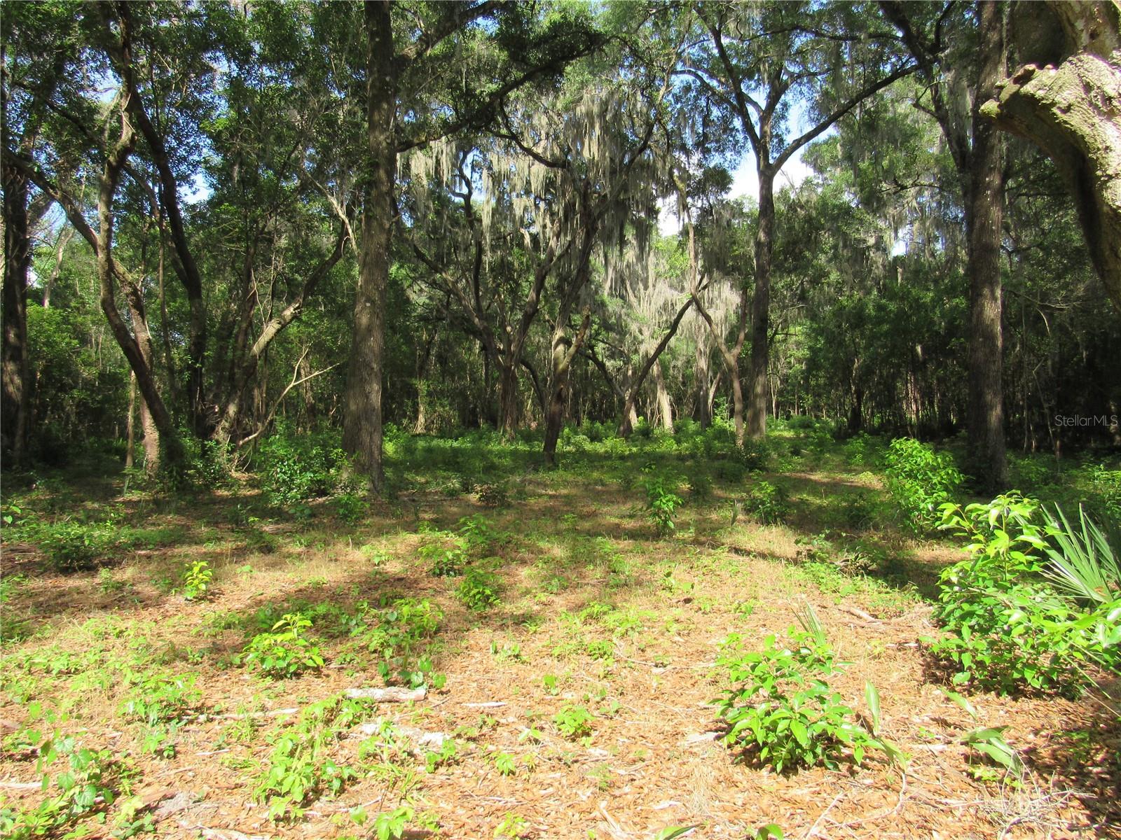 OAK VALLEY DR, DELAND, FL, 32720