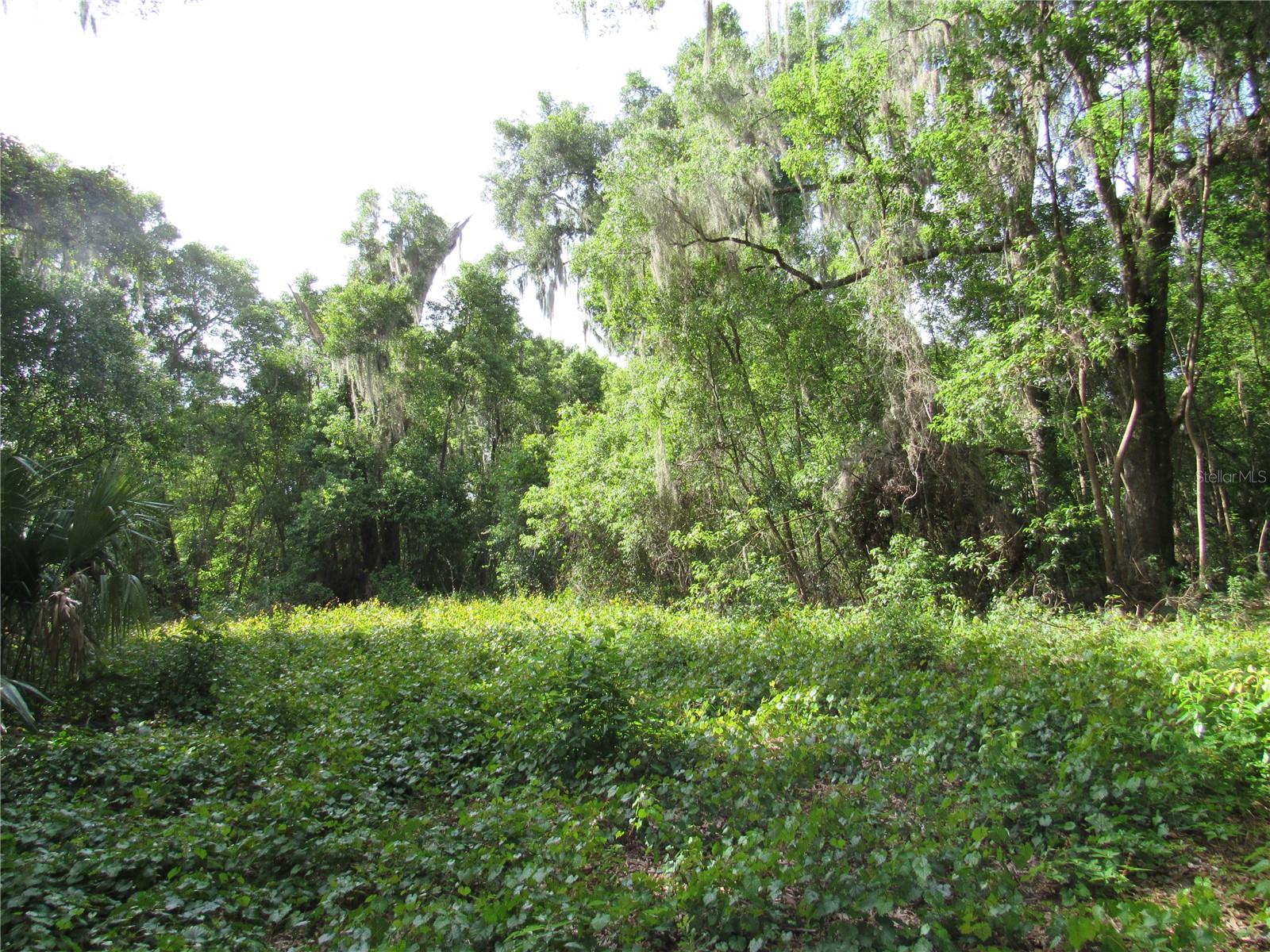 OAK VALLEY DR, DELAND, FL, 32720