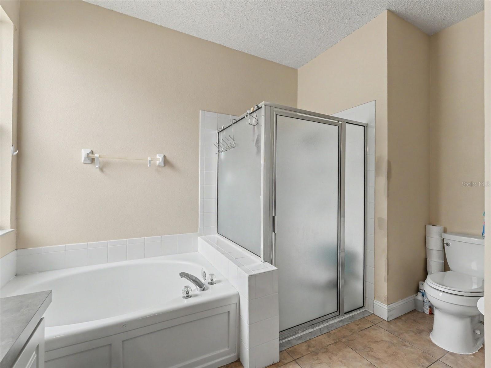 22536 LAURELDALE DR, LUTZ, FL, 33549