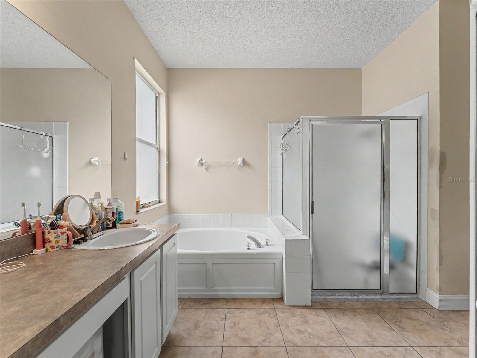 22536 LAURELDALE DR, LUTZ, FL, 33549