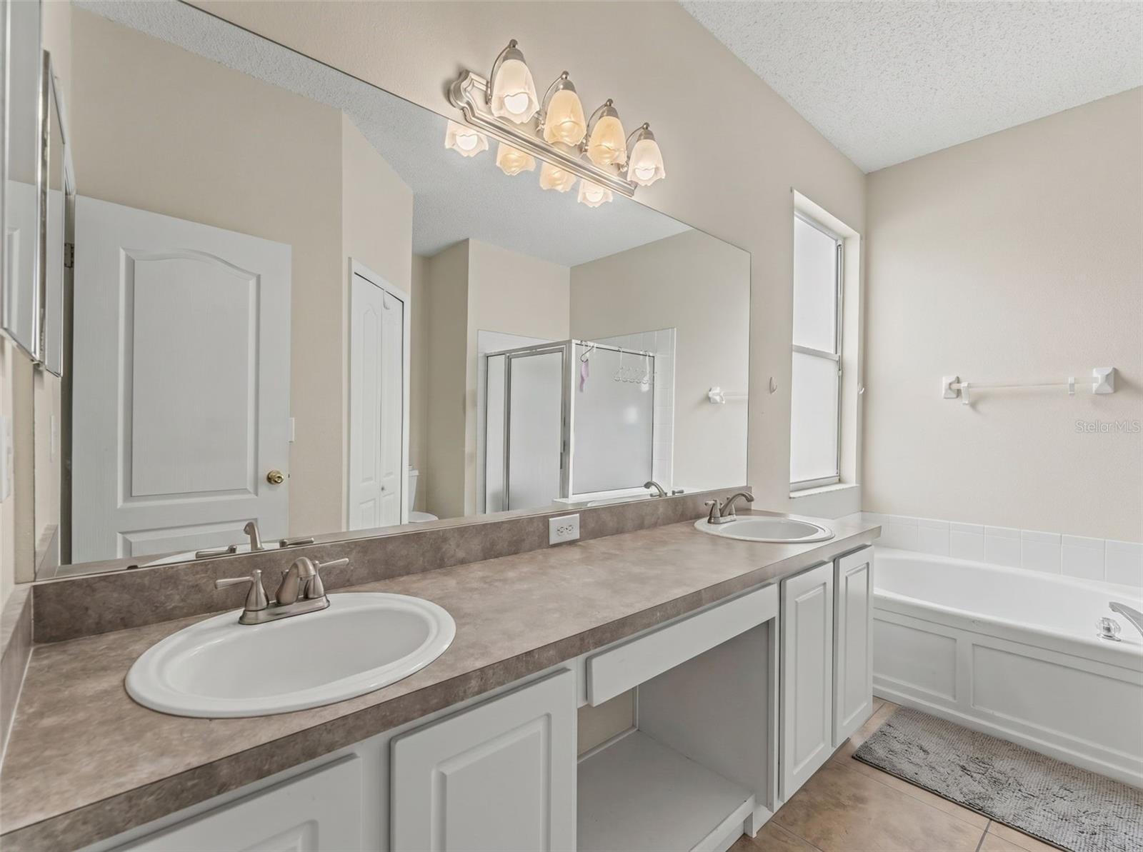 22536 LAURELDALE DR, LUTZ, FL, 33549