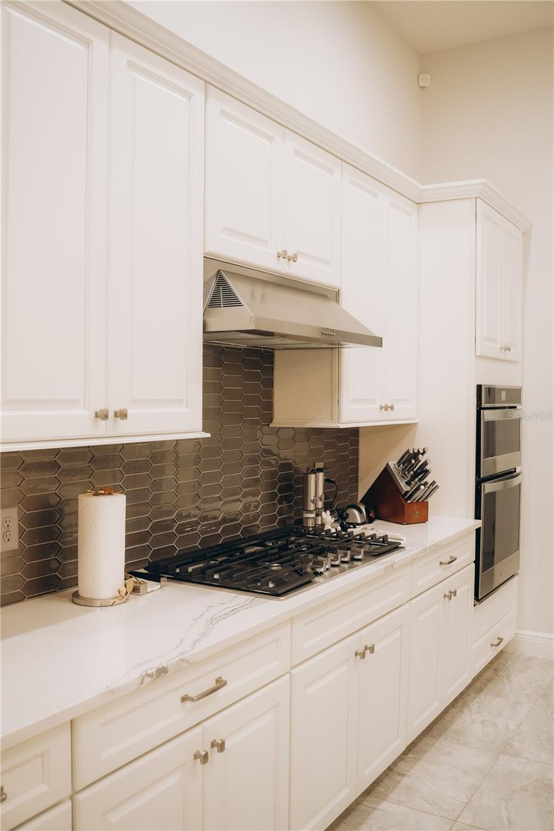 15505 SHOREBIRD LN, WINTER GARDEN, FL, 34787