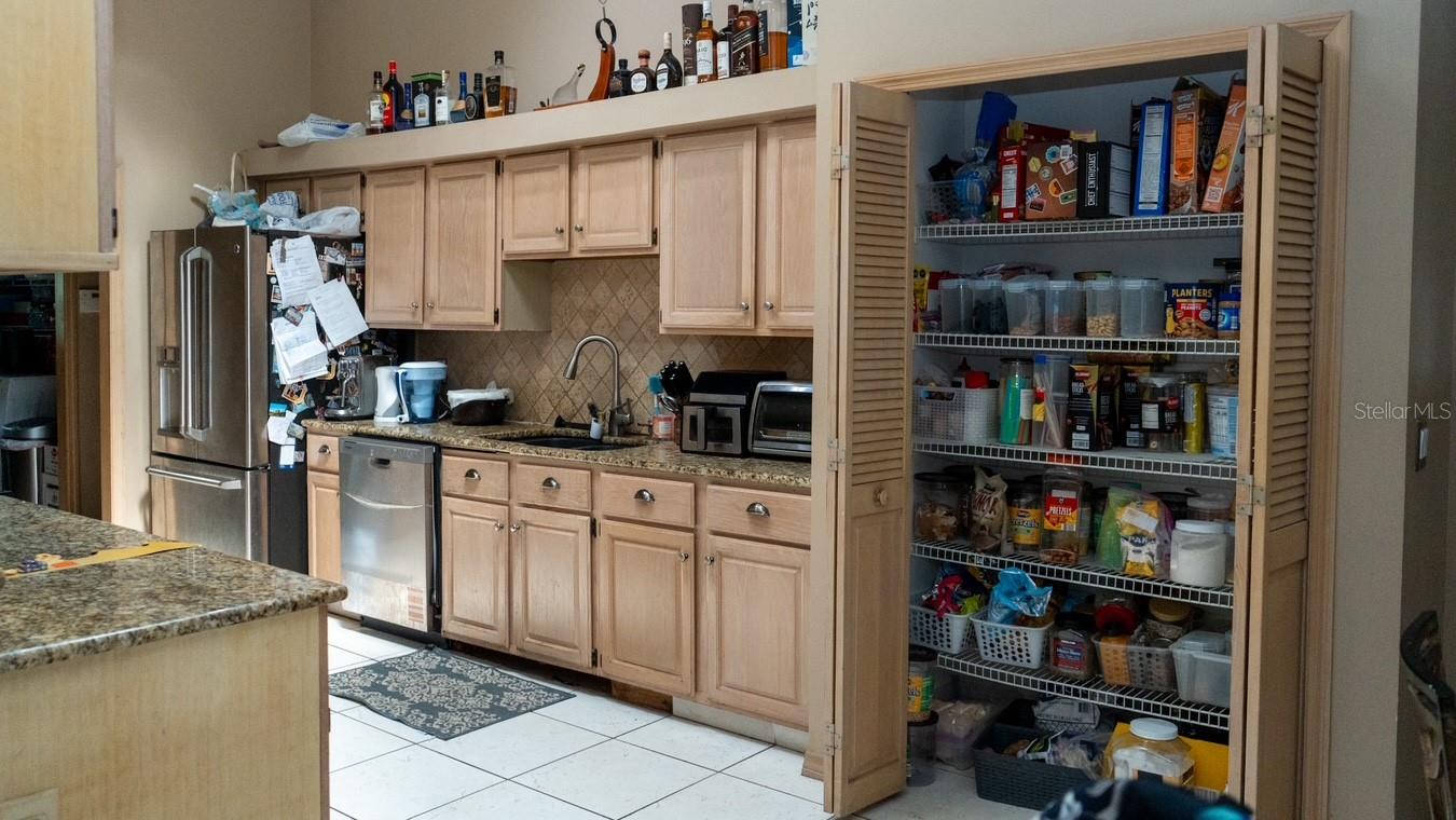 1407 HEMPEL AVE, WINDERMERE, FL, 34786