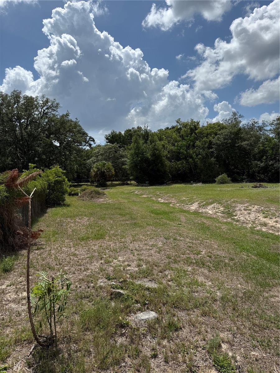 1401 N CANDLER AVE, ORLANDO, FL, 32818